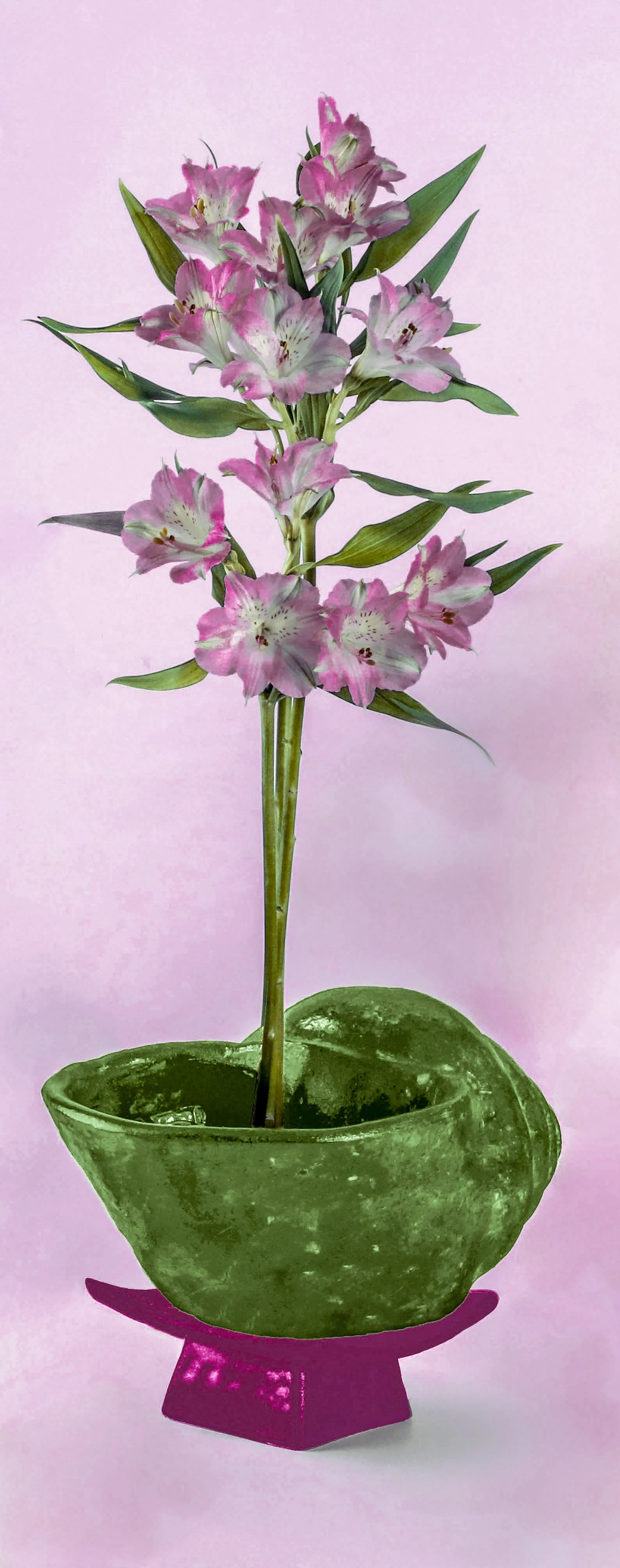 still life - 63.jpeg