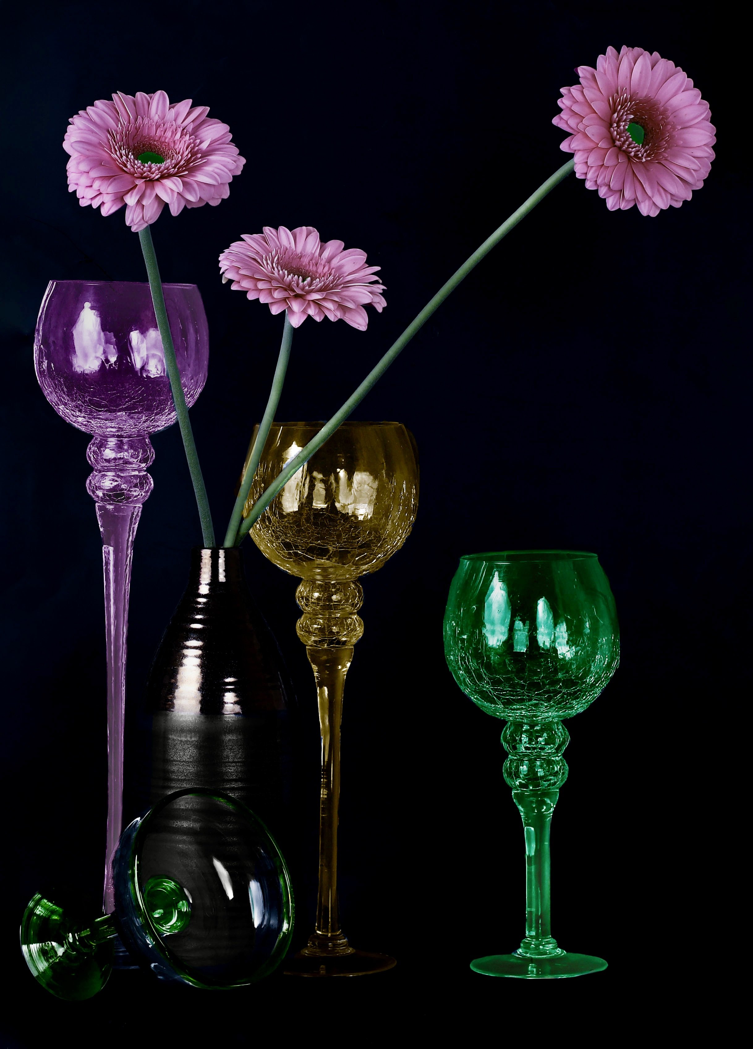 Barberton Daisies: "Hues of Lilac Emerald and Gold"
Ref: SL-163