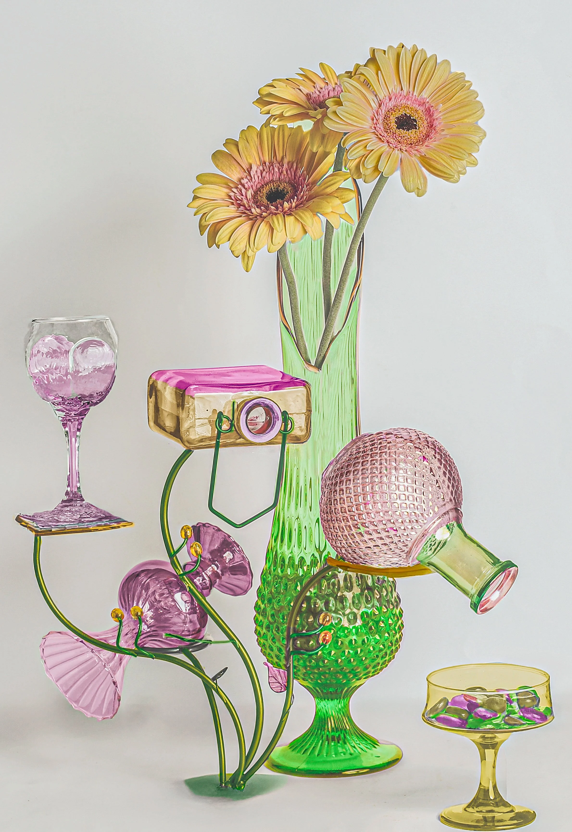 LS-00190Untitled (Three Yellow Barberton Daisies on Pale Gray Background) · Still Life · 2024
