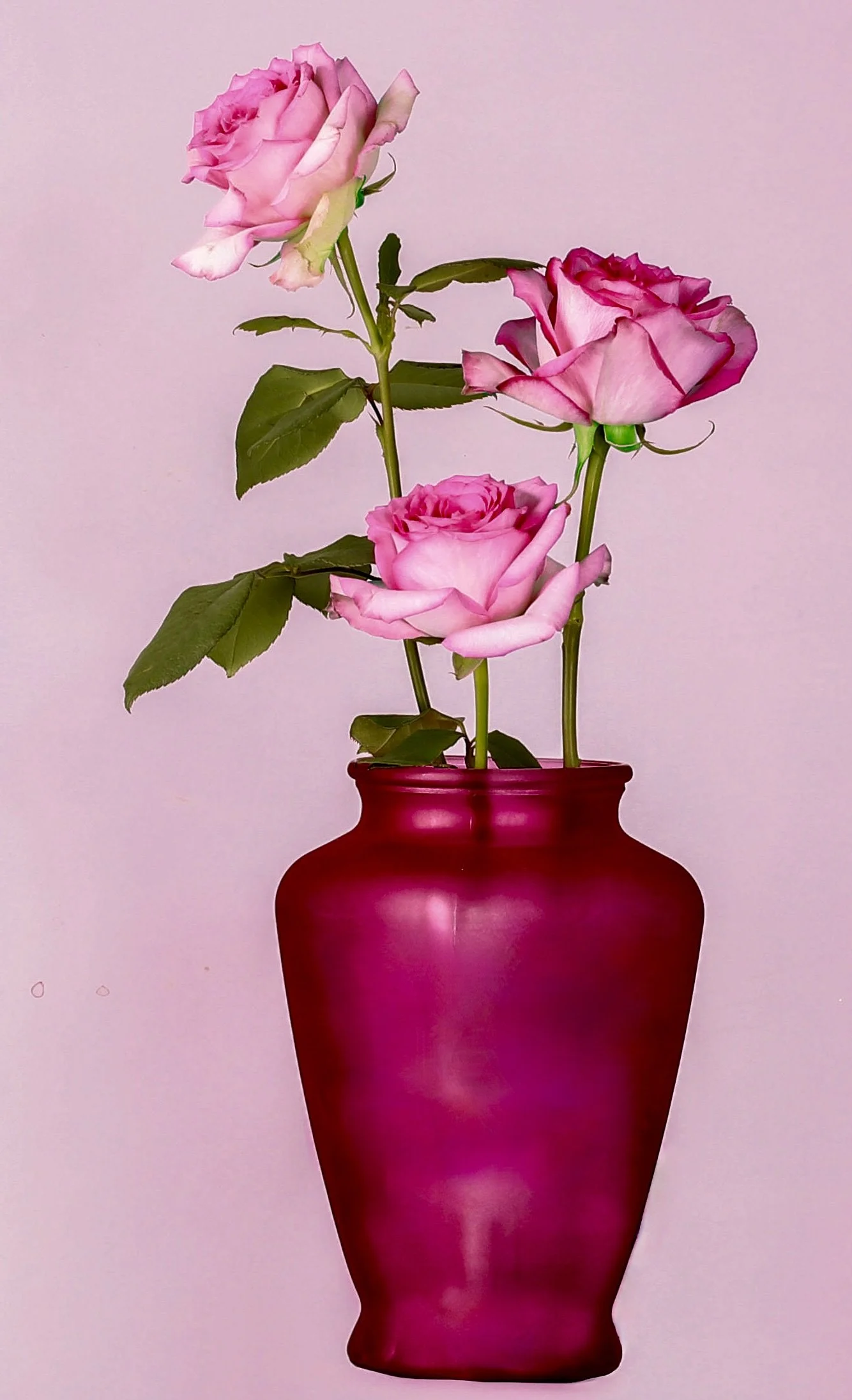 146A1771-Edit.jpg