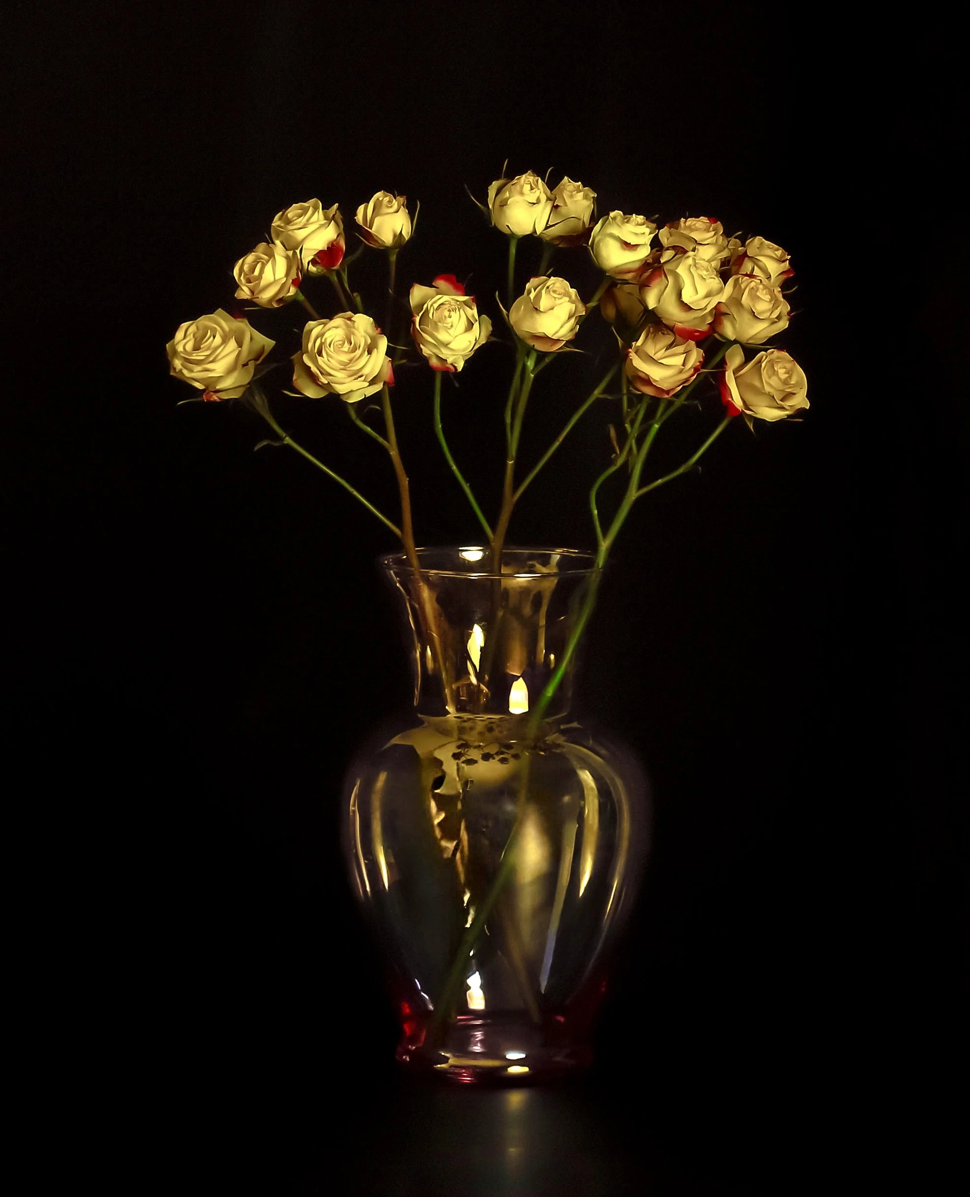 LS-00172Untitled (Spray of Yellow Roses on Black Background) · Still Life · 2024