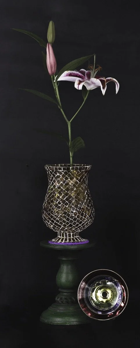 LS-00199·Untitled (Asiatic Lilies in Phases of Bloom on Black Background) · Still Life · 2024