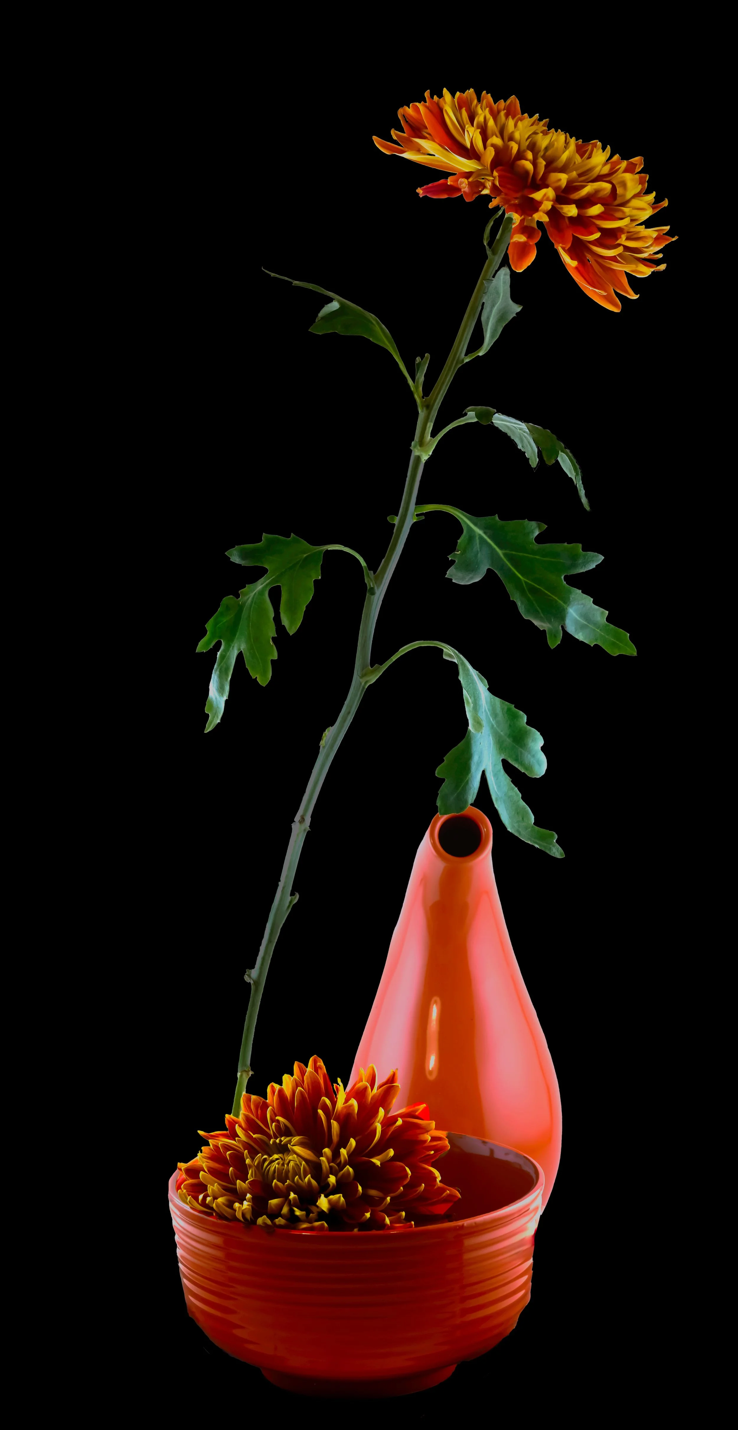 still life - 108.JPG