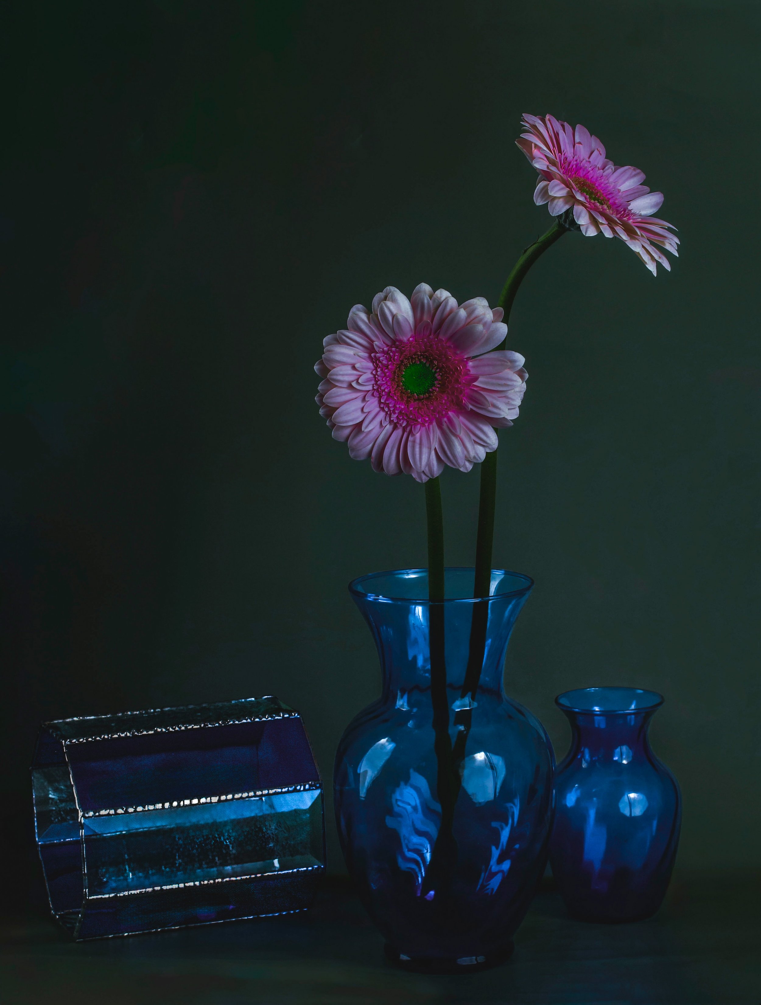 still life - 14.jpeg