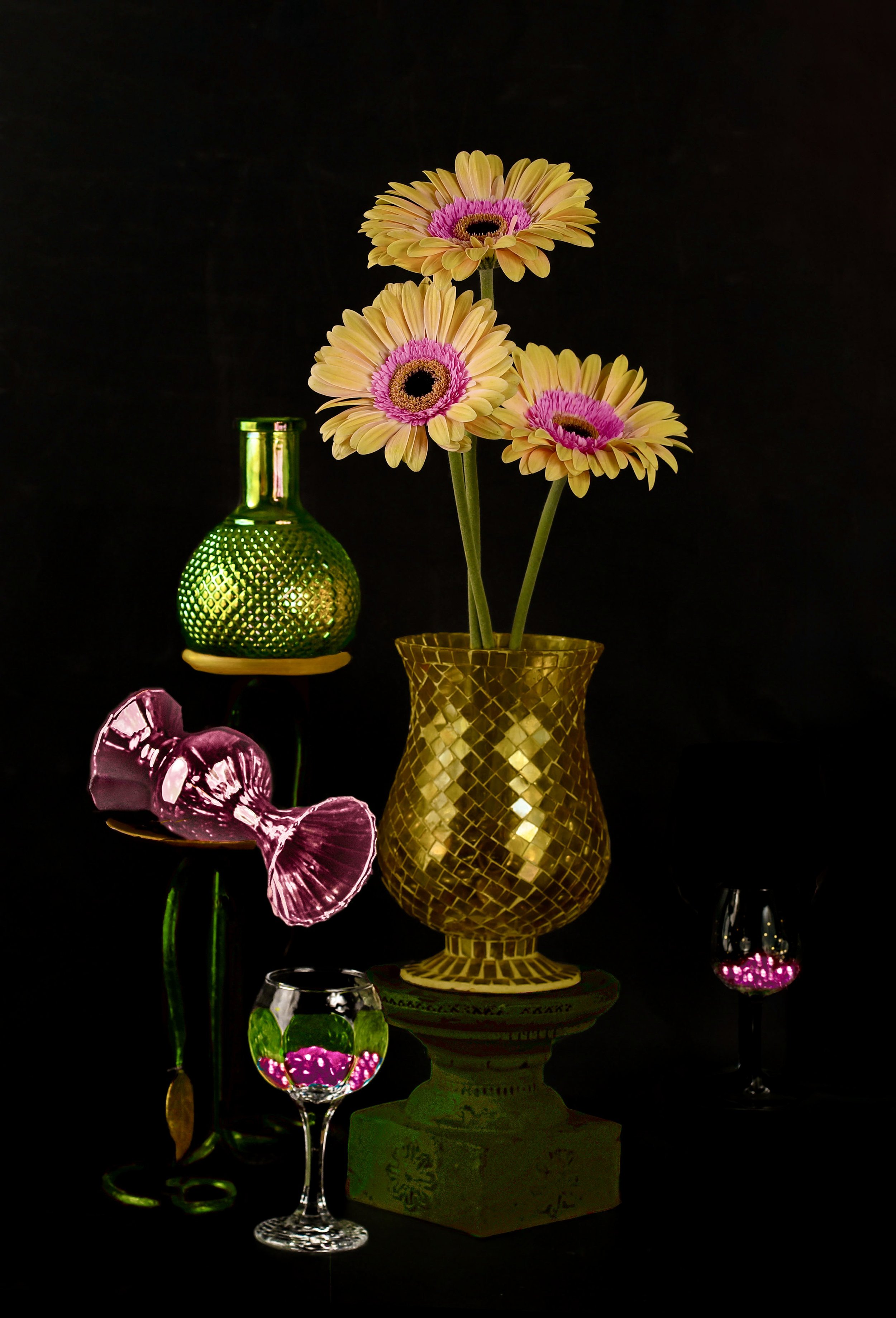 Barberton Daisies
Ref: SL-130