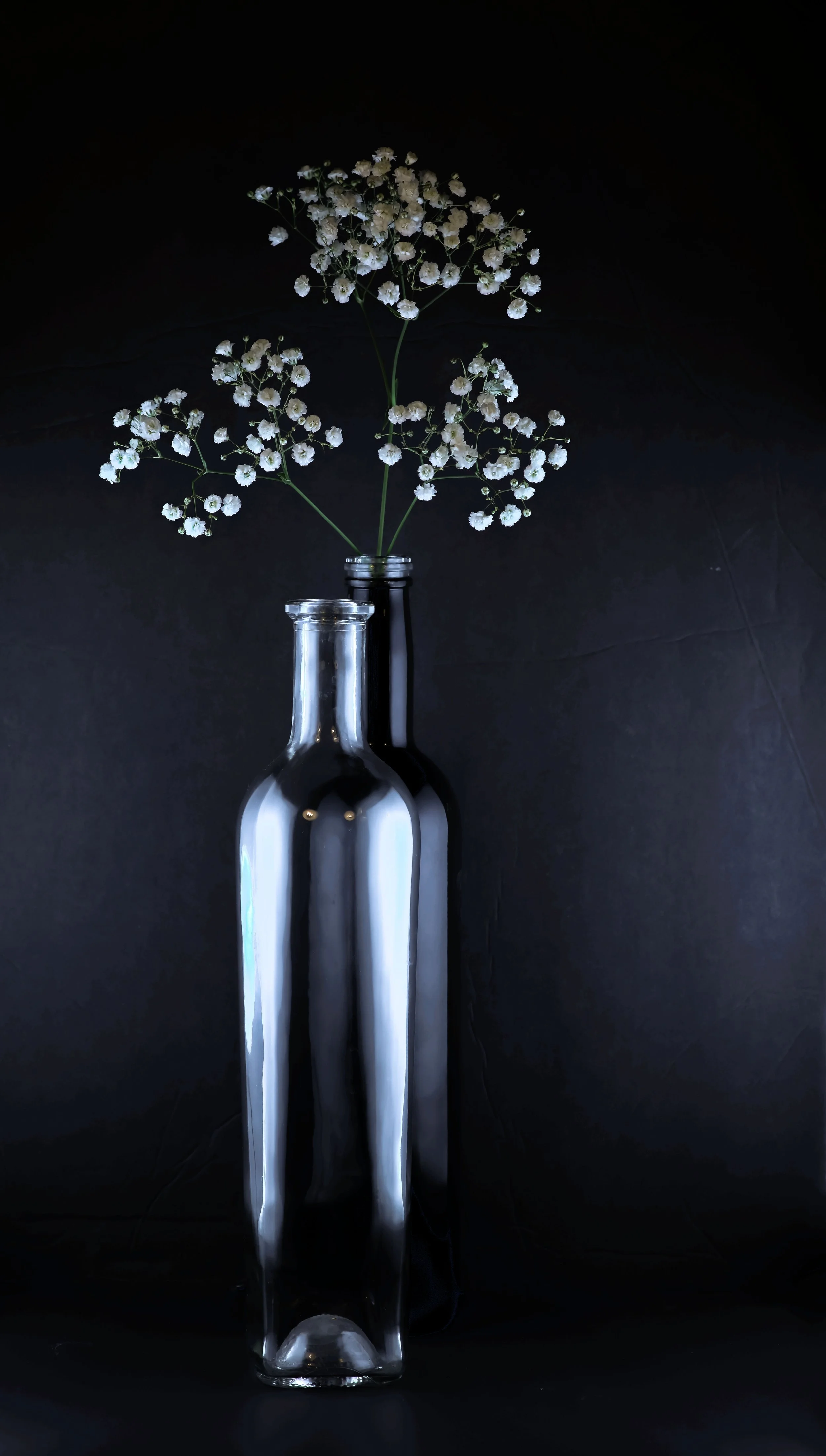 2023_10 Baby's Breath . October, 2023. Yuma AZ 00001-Edit-Edit-Edit.jpg