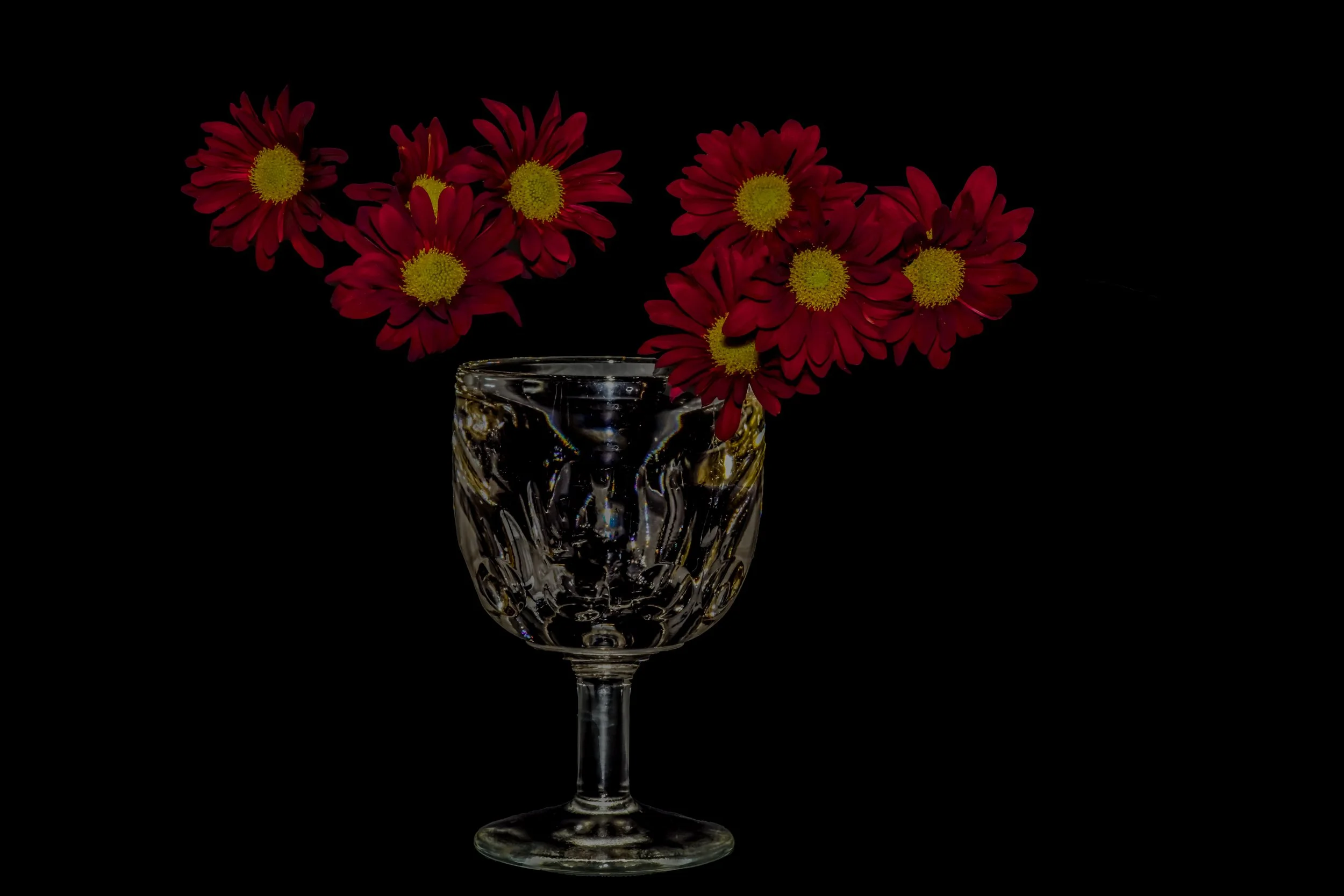 still life - 181.jpg