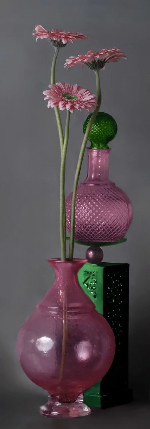 LS-00208 · Untitled (Three Pink Barberton Daisies on Gray Background) · Still Life · 2025
