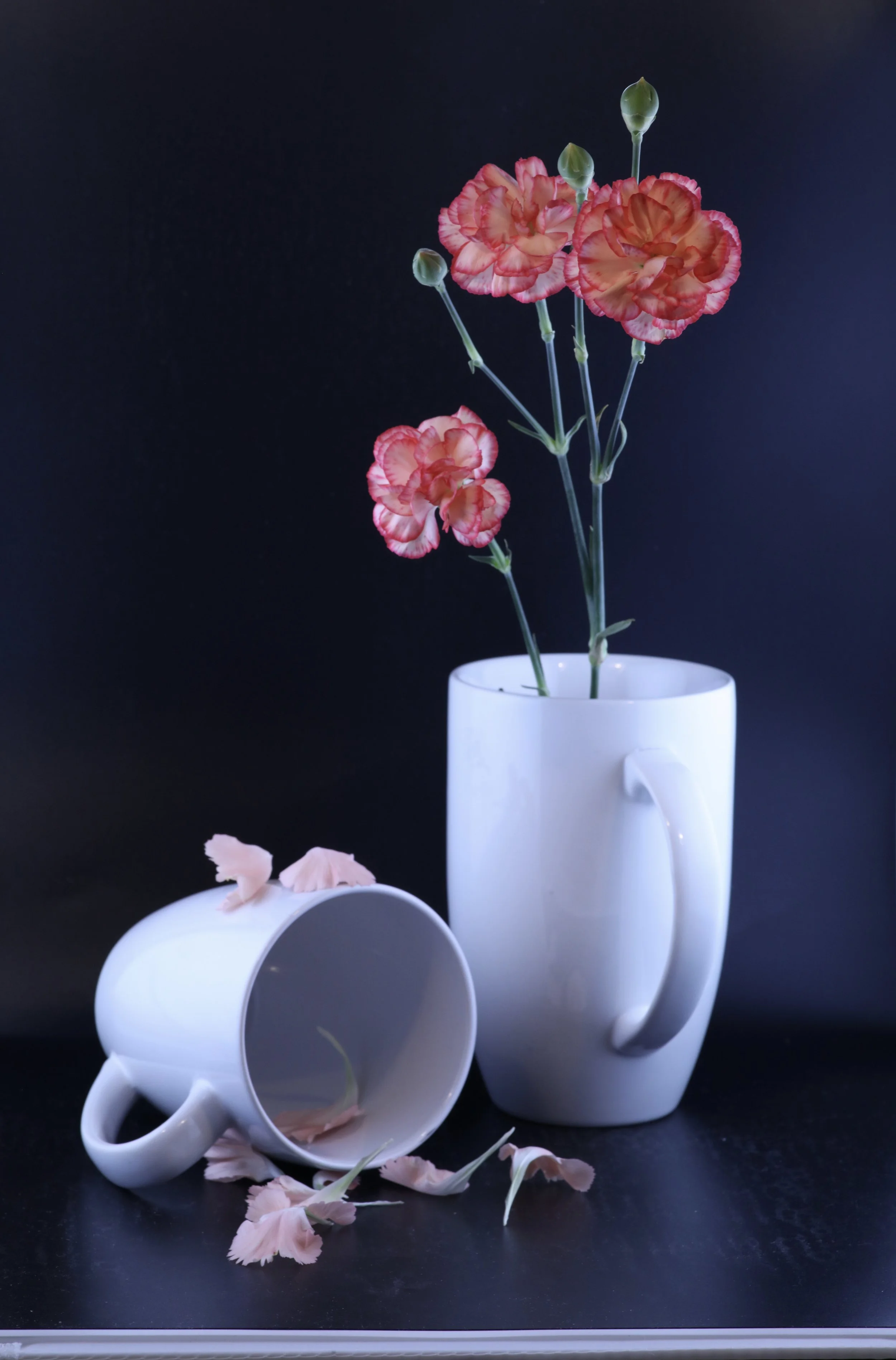 still life - 105.JPG