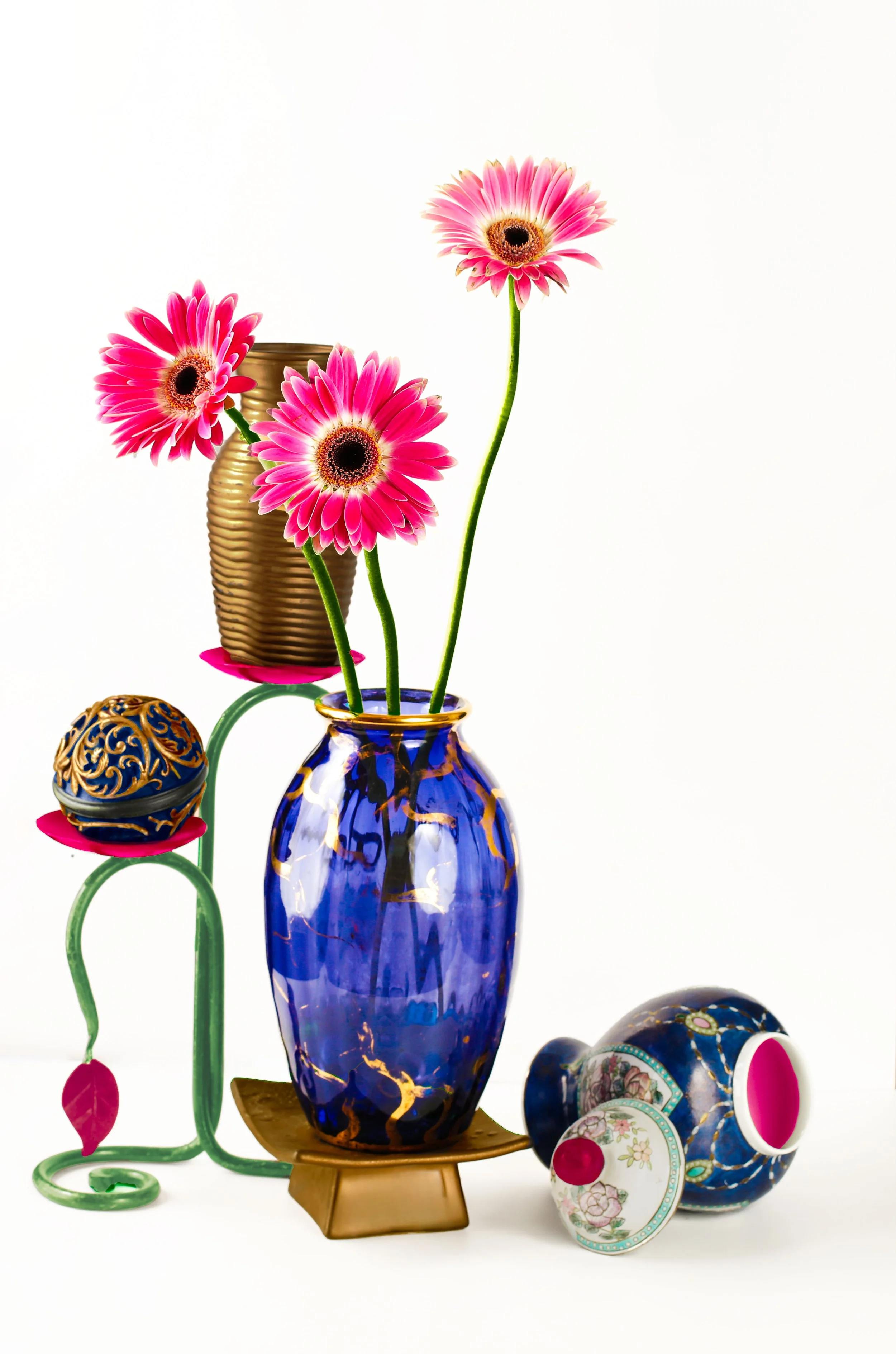 LS-00183Untitled (Three Magenta Pink Barberton Daisies on White Background) · Still Life · 2024