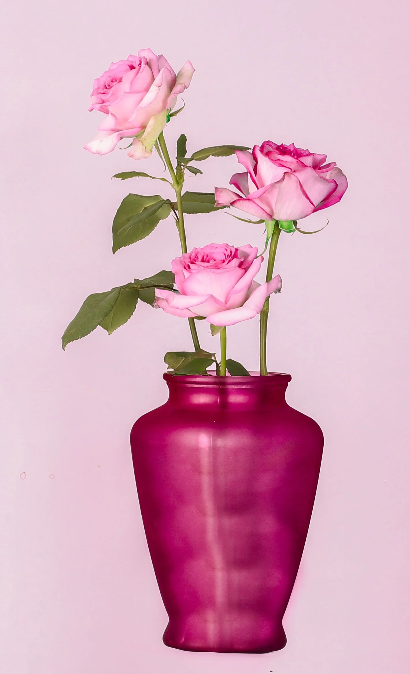 still life - 201.jpg