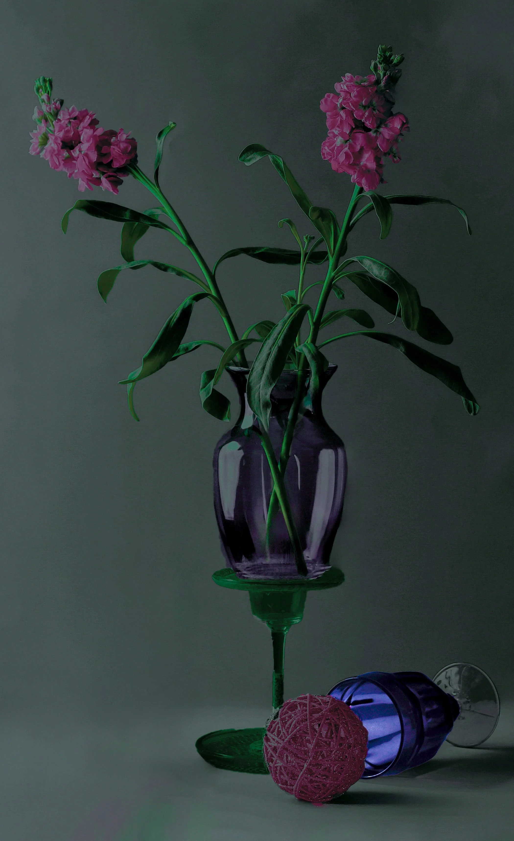 still life - 20.jpeg