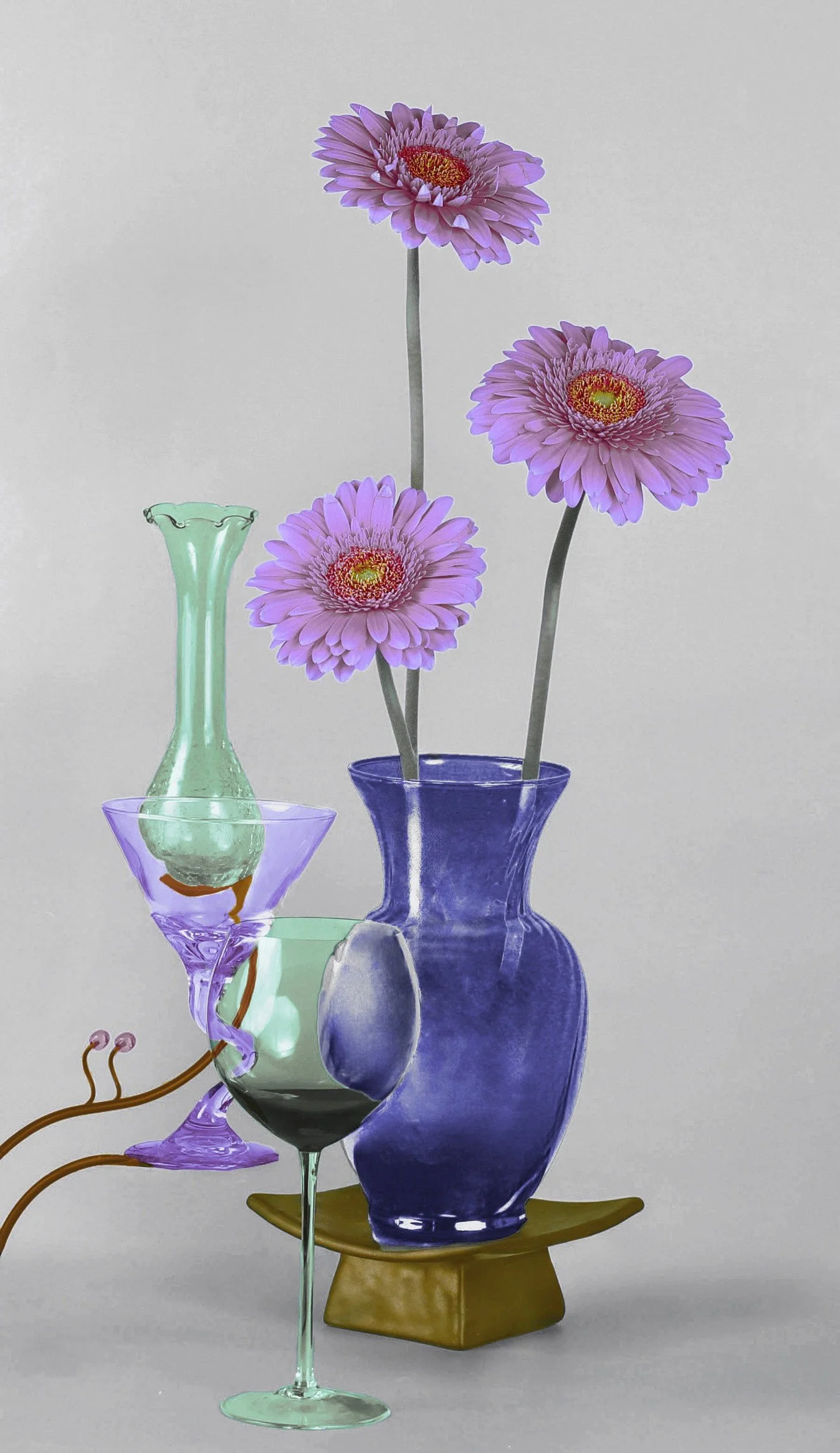 LS-00194Untitled (Three Lavender Barberton Daisies on Pale Gray Background) · Still Life · 2024