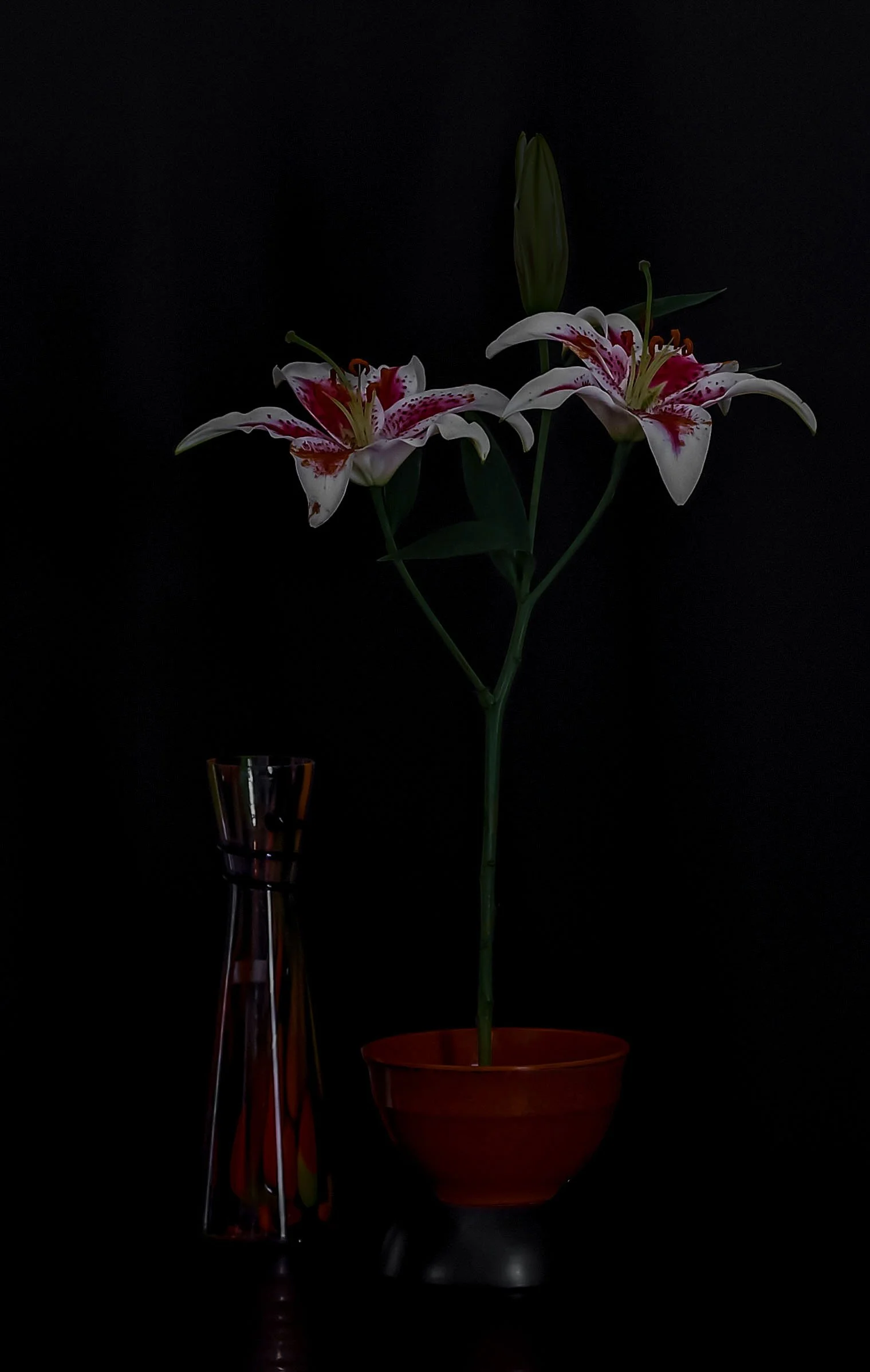 still life - 6.jpg