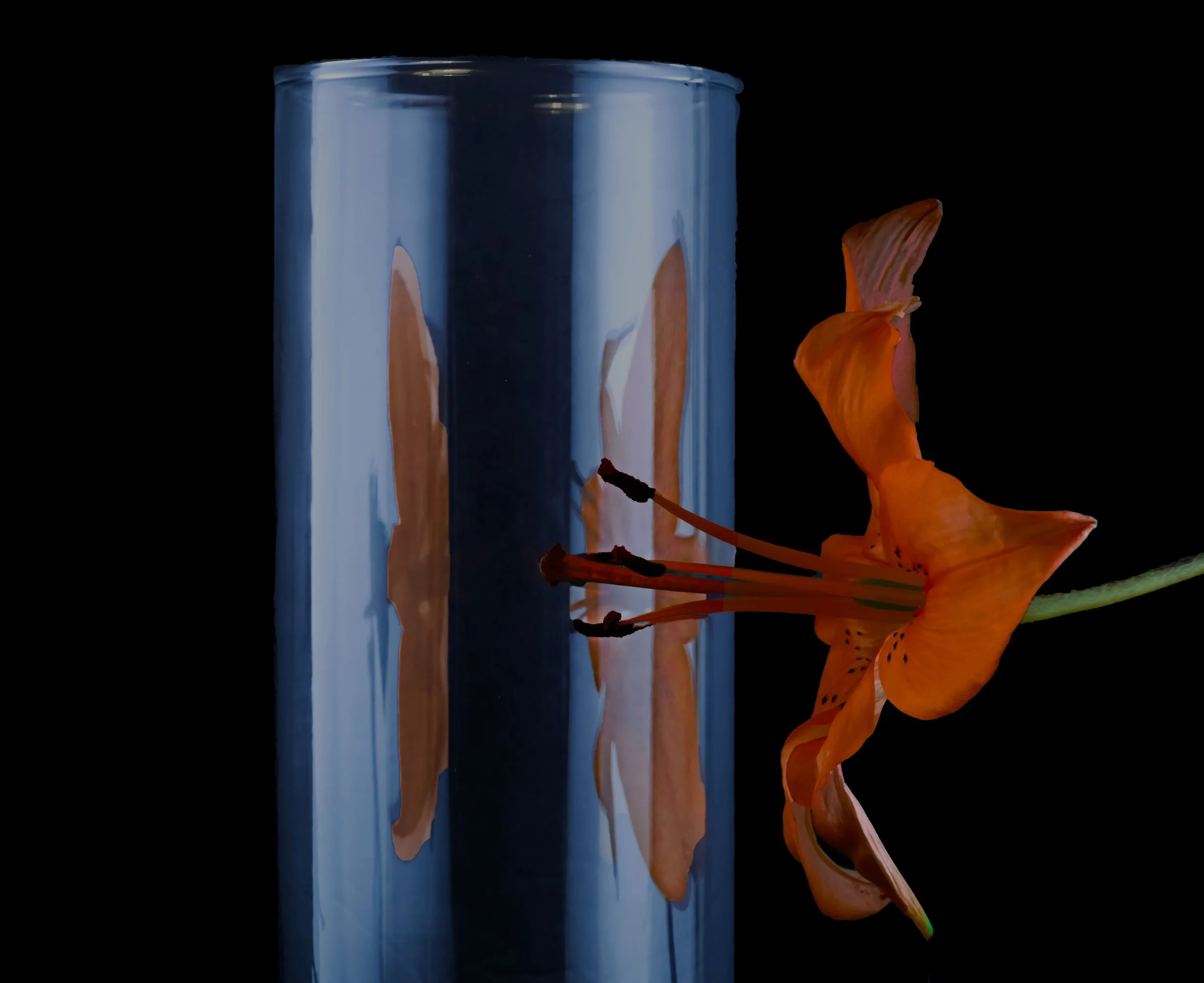 still life - 102.JPG