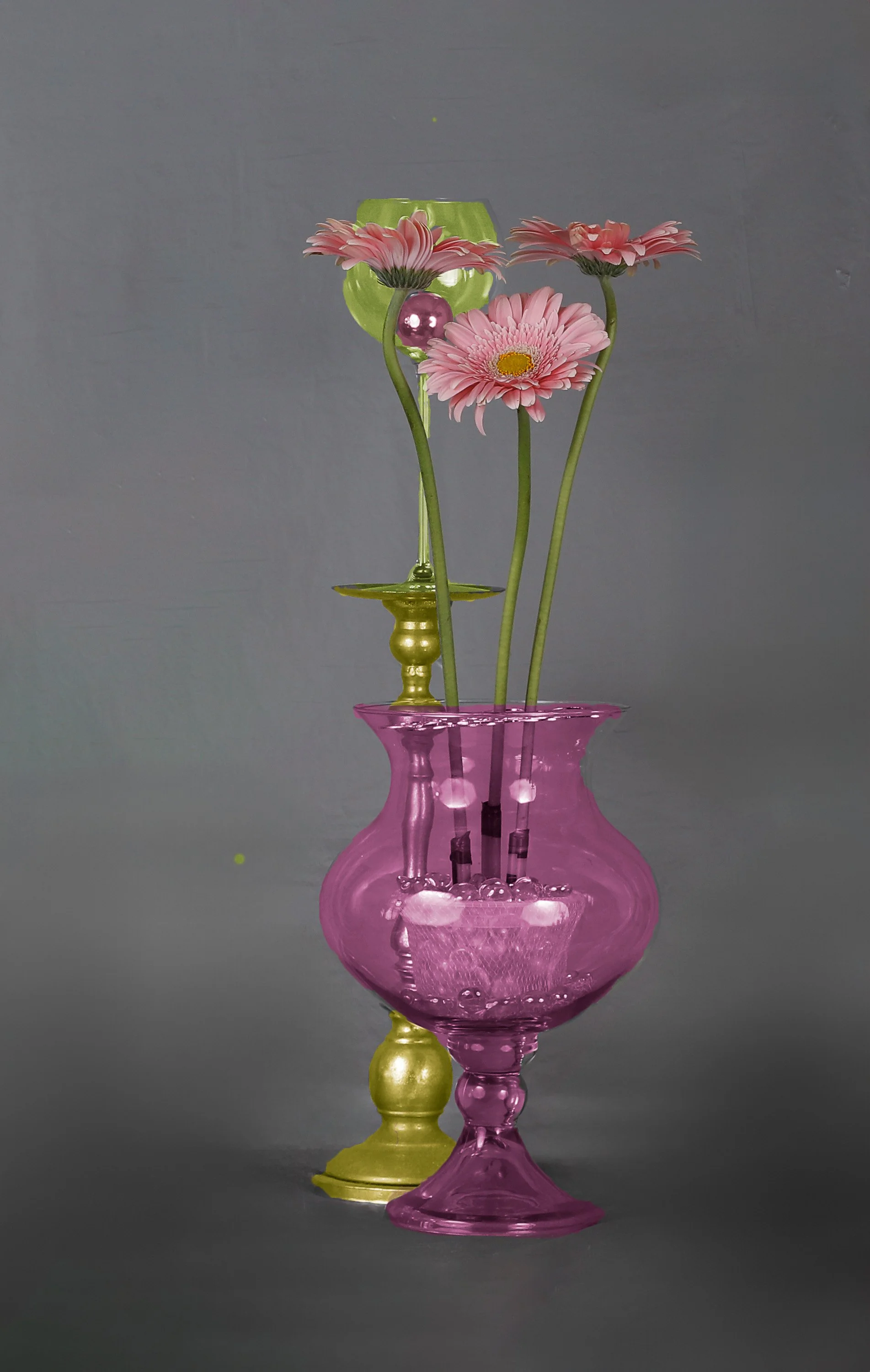 LS-00198· Untitled (Three Pink Barberton Daisies on Gray Background) · Still Life · 2025