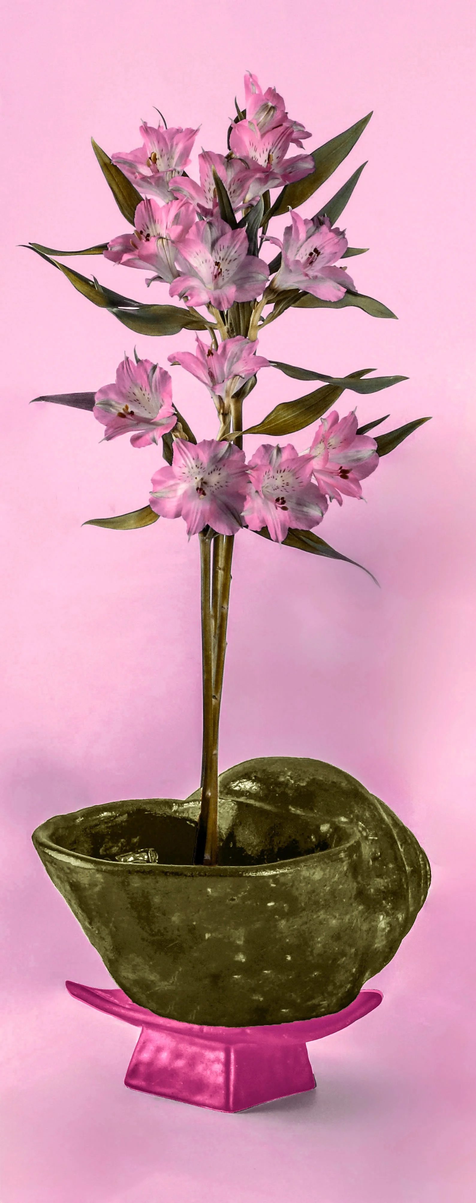 still life - 64.jpeg