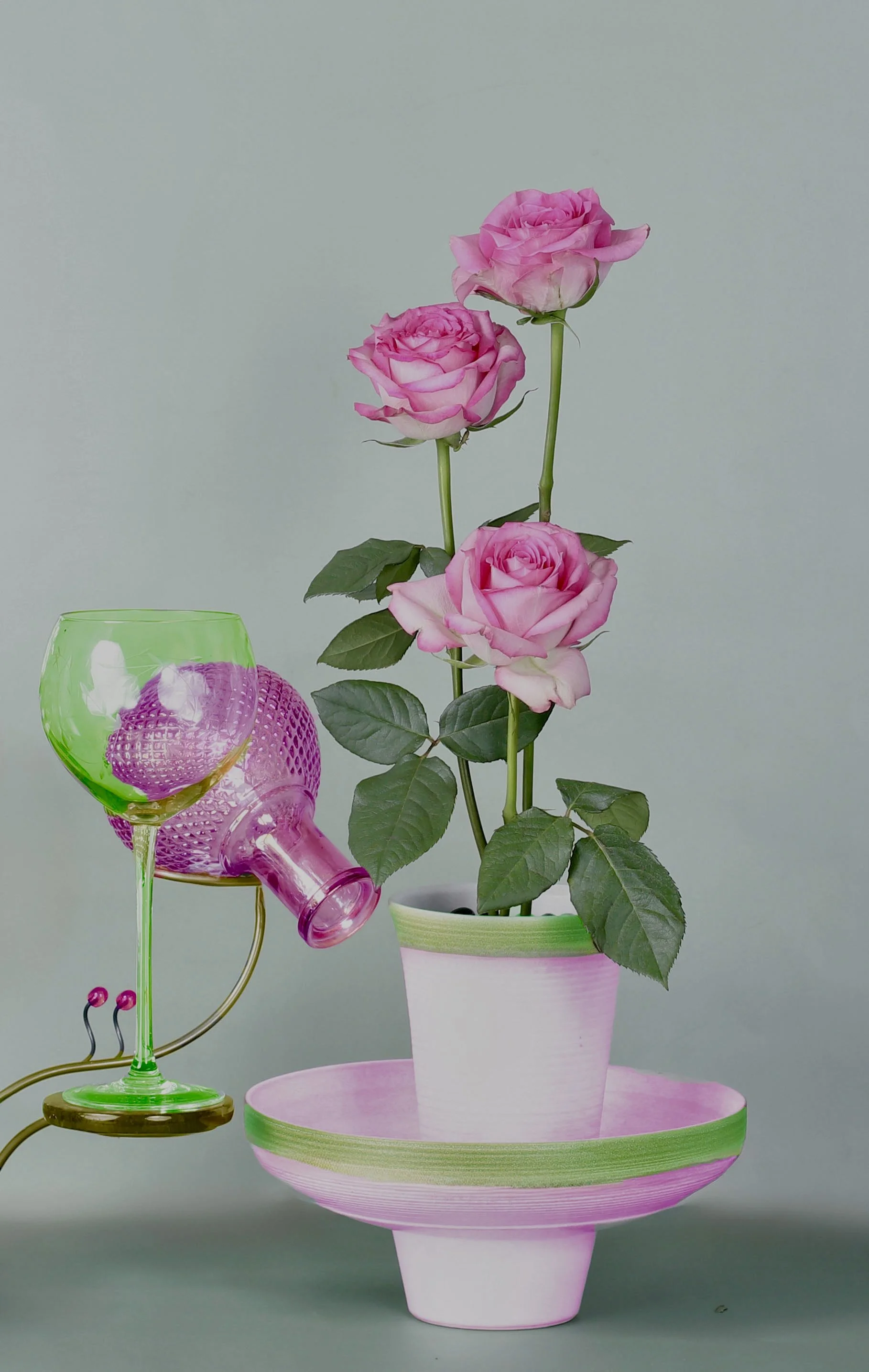 LS-00188Untitled (Three Pink Roses on Pale Muted Teal Background) · Still Life · 2024