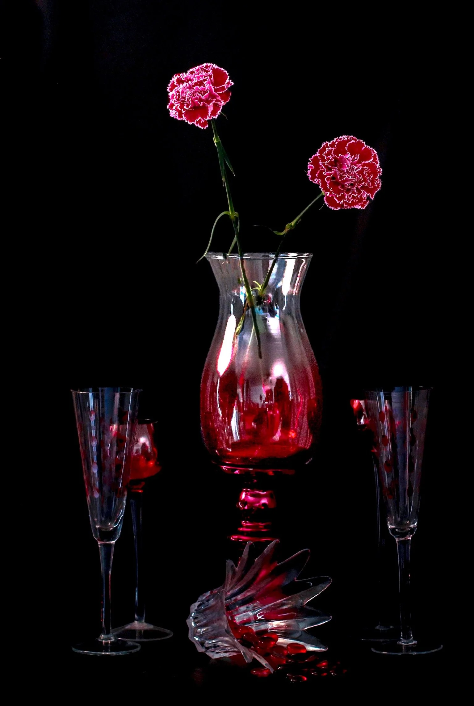 Carnations
Ref: SL-14