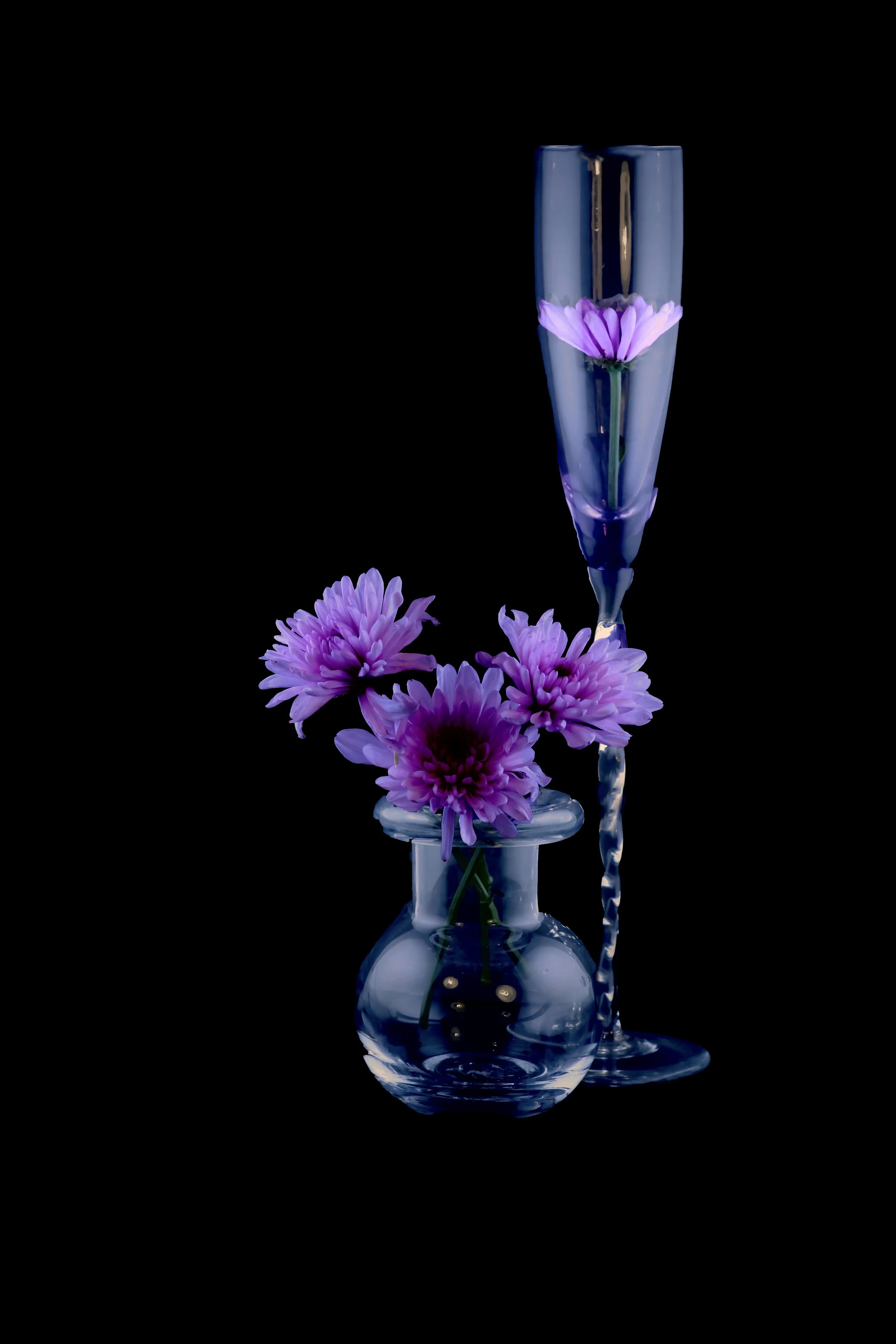 2023_10 Chrysanthemum . October, 2023 . Yuma AZ 00001-4-Edit.jpg