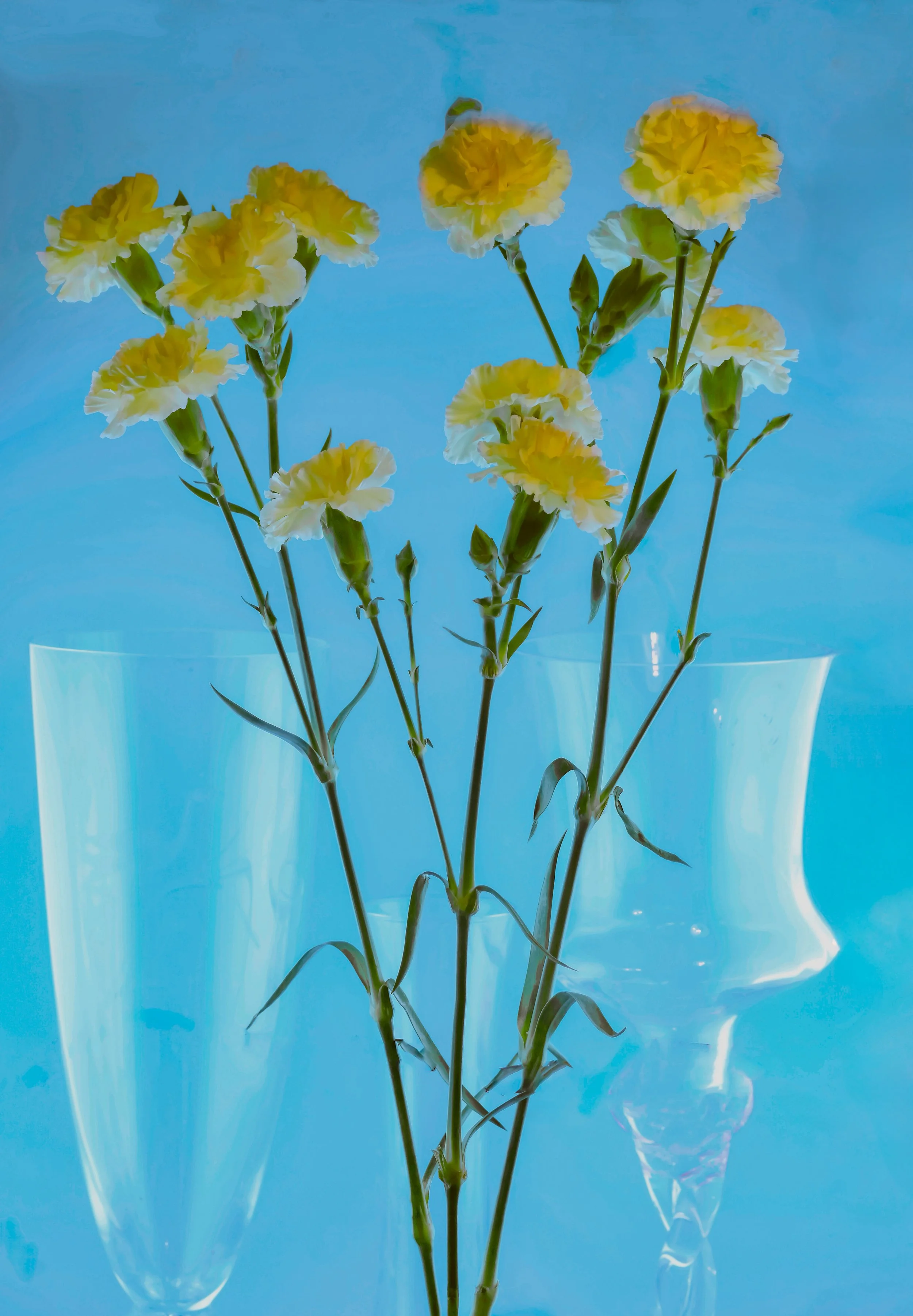 still life - 110.JPG