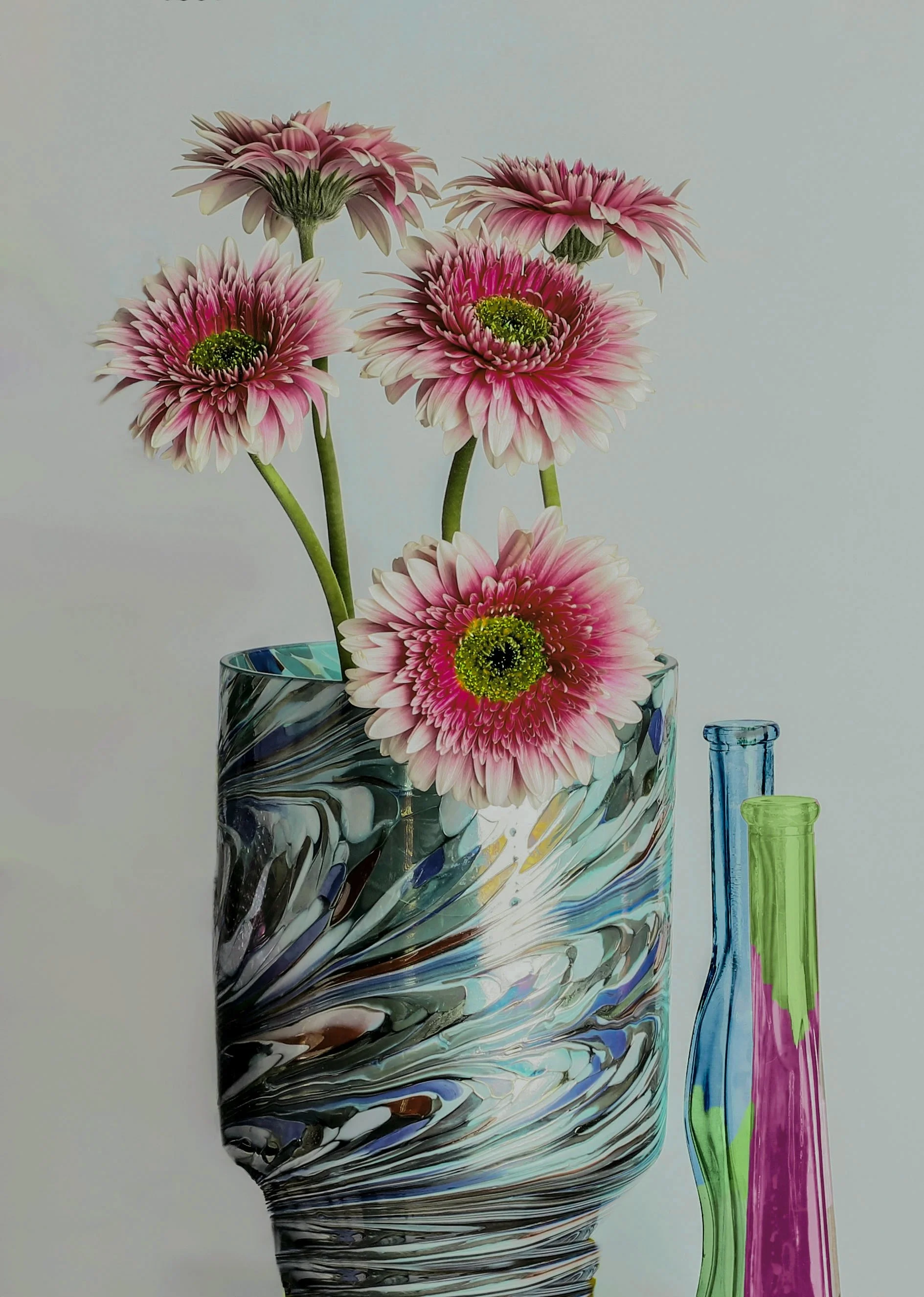 LS-00187Untitled (Five Pink Barberton Daisies on Pale Muted Teal Background) · Still Life · 2024