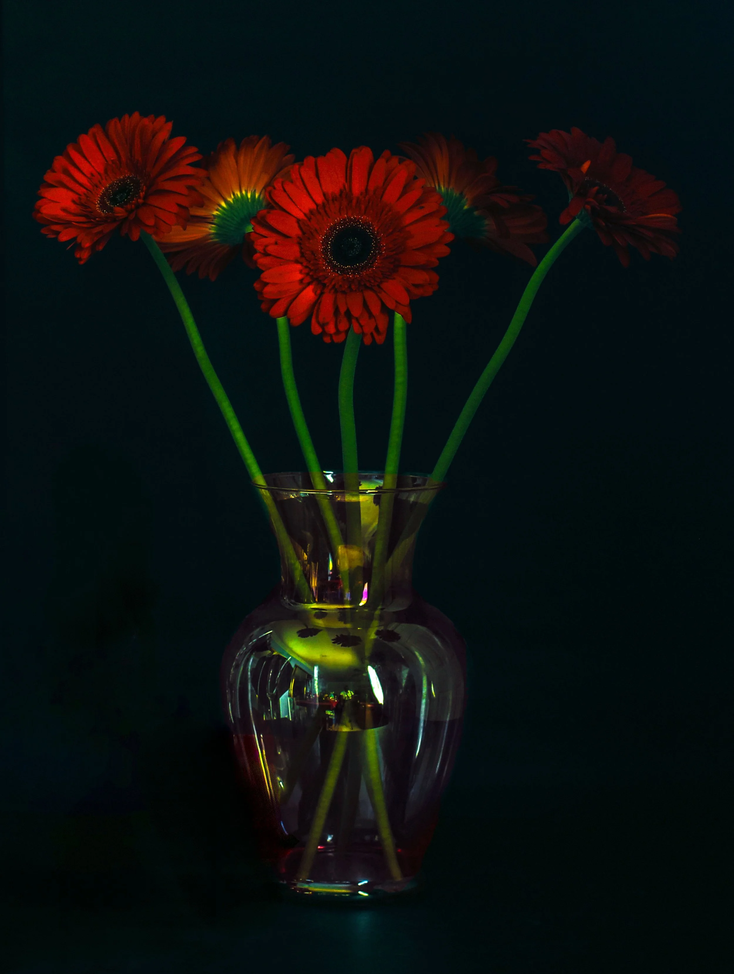 still life - 145.jpg