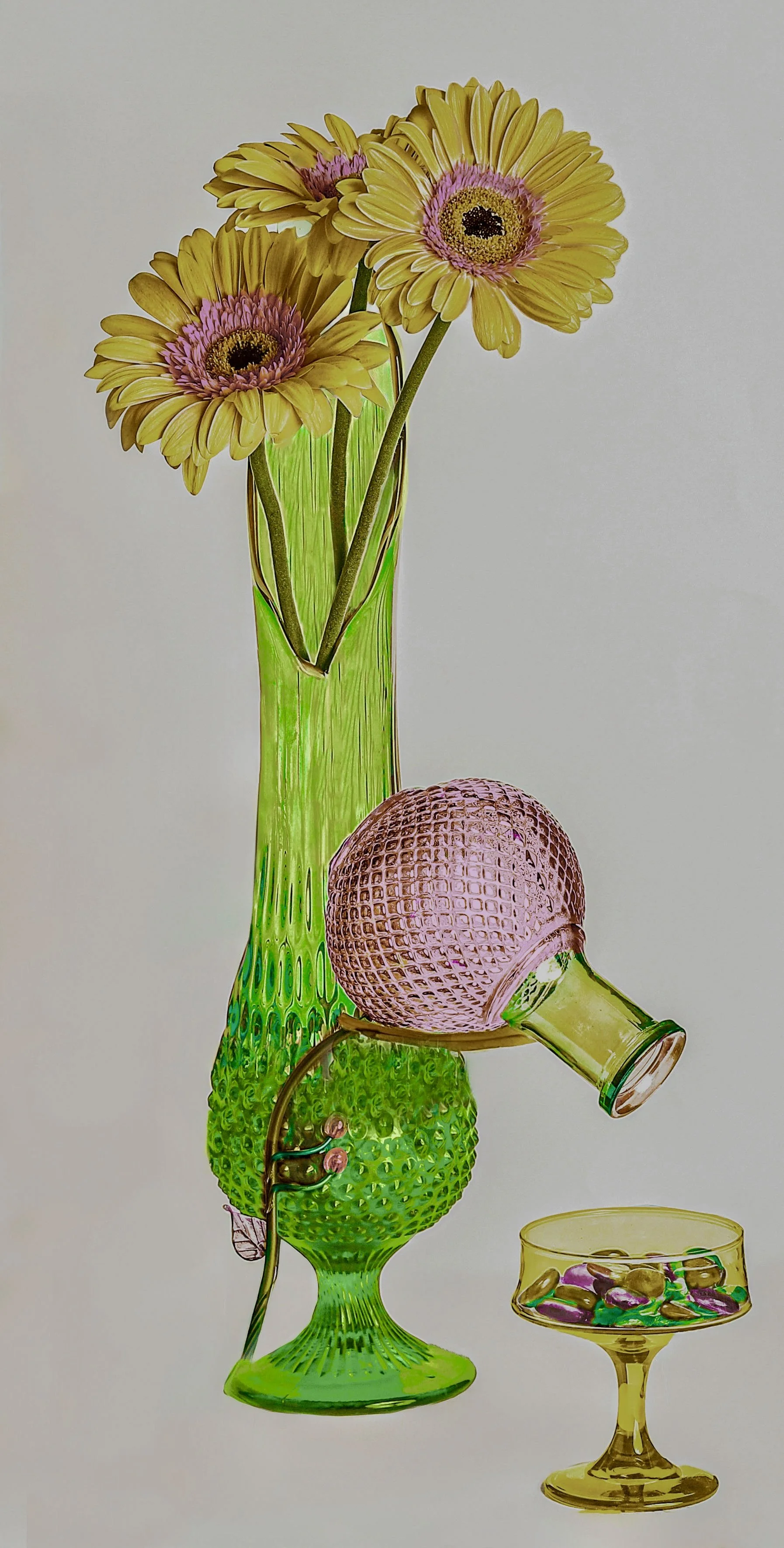 LS-00191Untitled (Three Yellow Barberton Daisies on Pale Gray Background) · Still Life · 2024