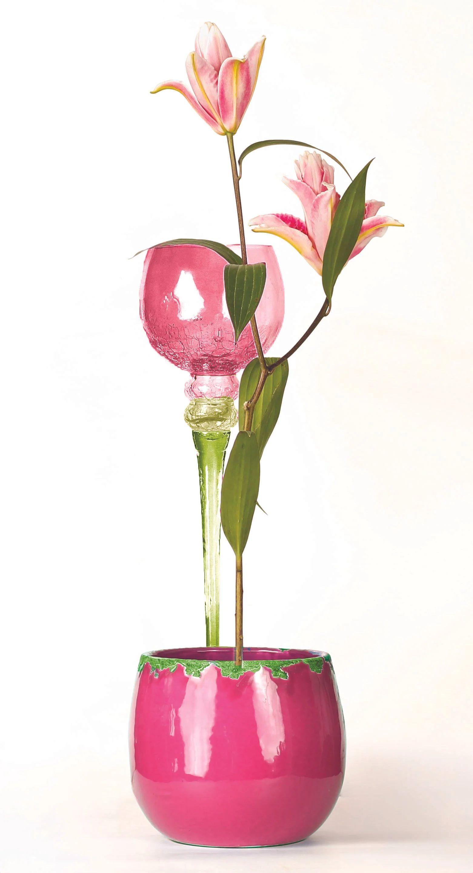 still life - 250.jpg