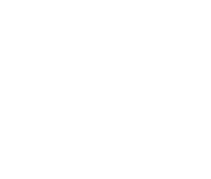 fNt Productions, LLC