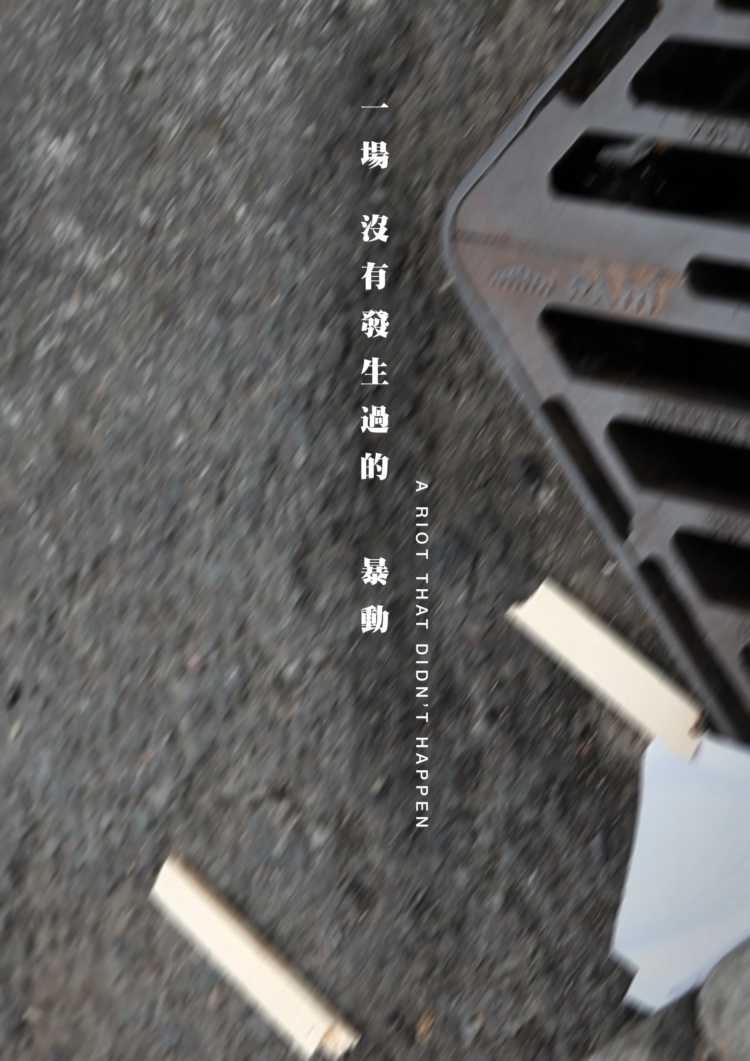 A Riot That Didn_t Happen_poster.jpg
