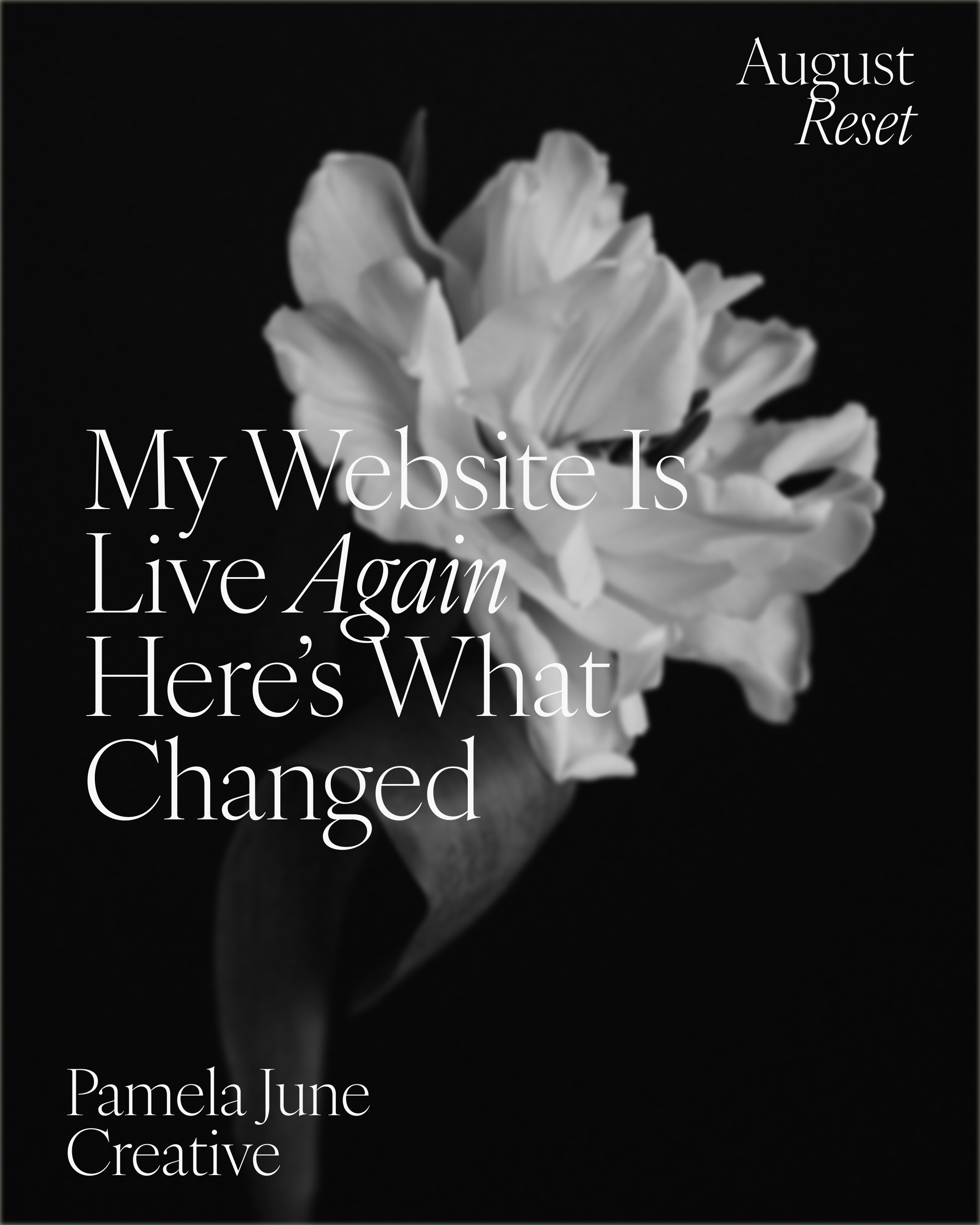 My Website Is Live Again, Here's What I Changed This Time