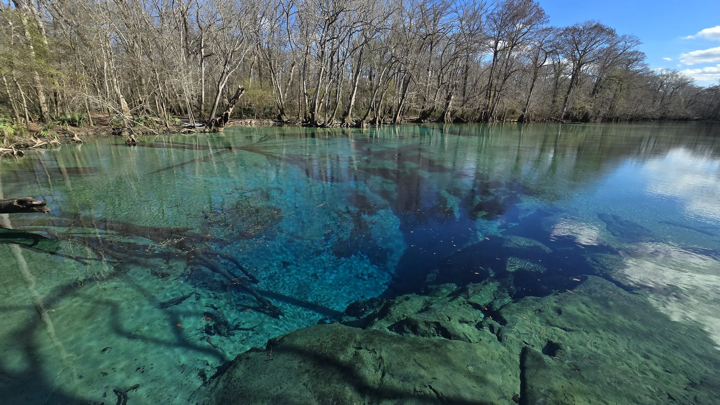 The Closest Fresh Water Springs to Panama City Beach, Florida