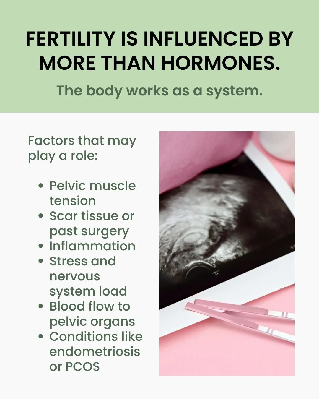 Fertility is not always about one system or one diagnosis. A whole body approach helps identify factors that may be contributing and where support can make a difference.

Request an Appointment at kimmcphailpelvicphysicaltherapy.com &bull; 615-212-89