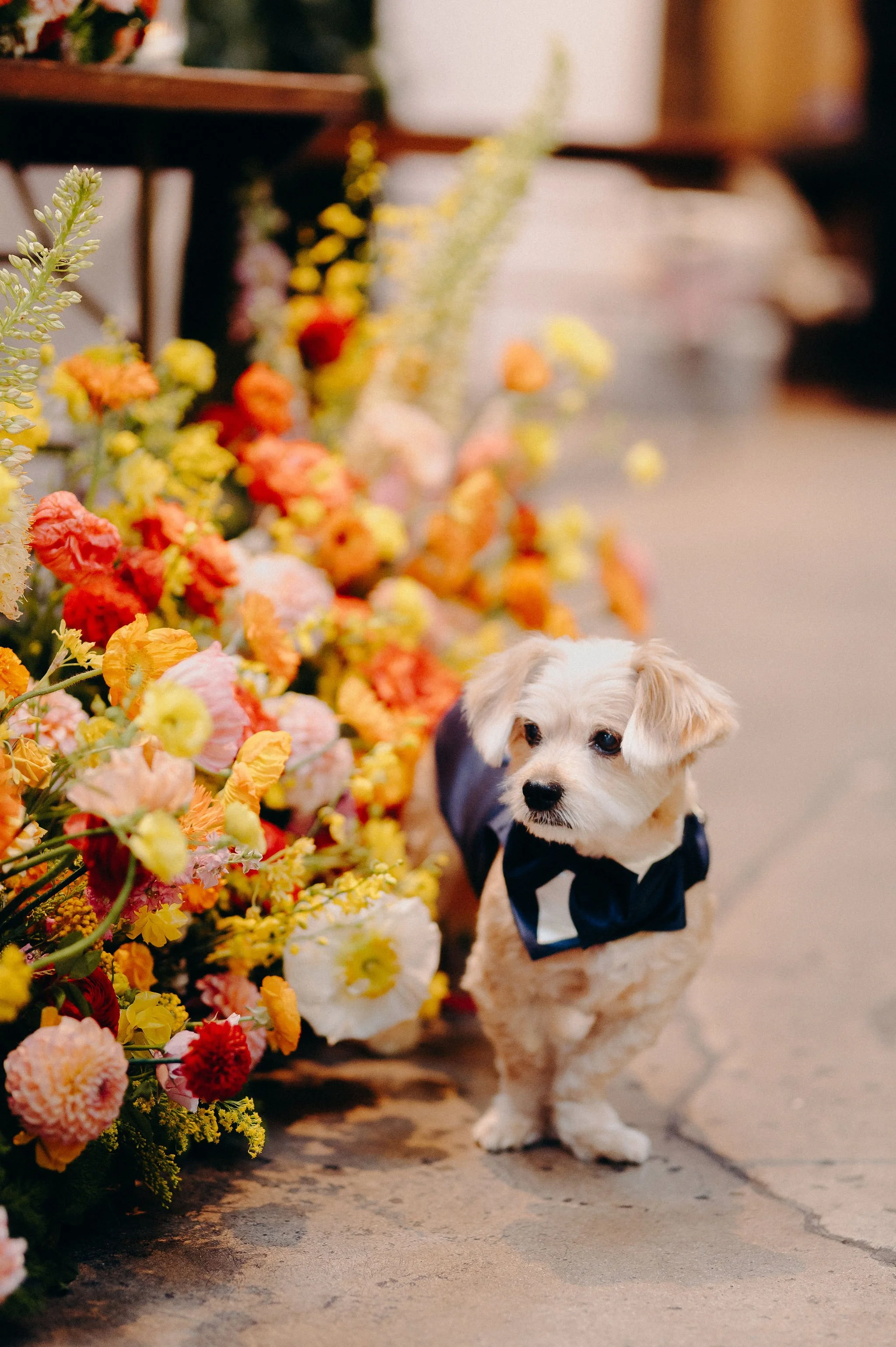 weddingphoto-bri+zach-itlaphoto.com-456.jpg