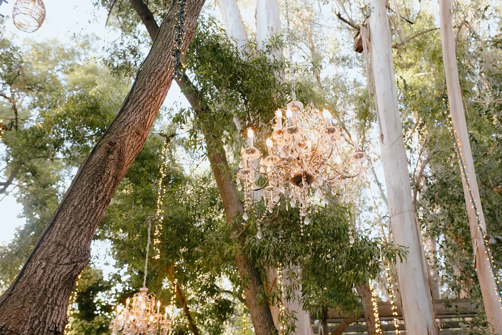 Jenny_Rolapp_Photography_Mel_&_Mitch_Malibu_wedding-380.jpg