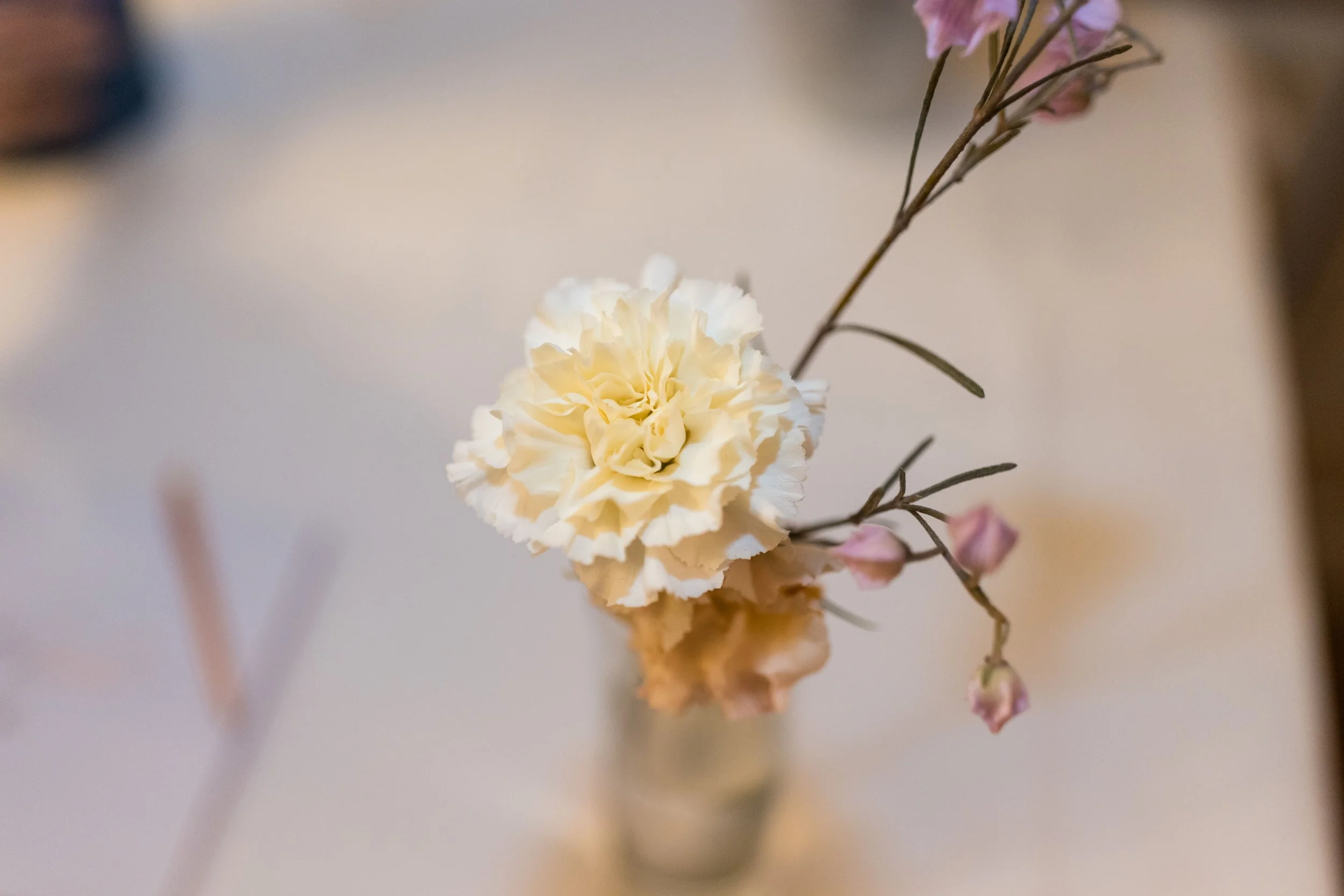 1033-011026IdabyTomKeene©LADigitalPhoto-.jpg