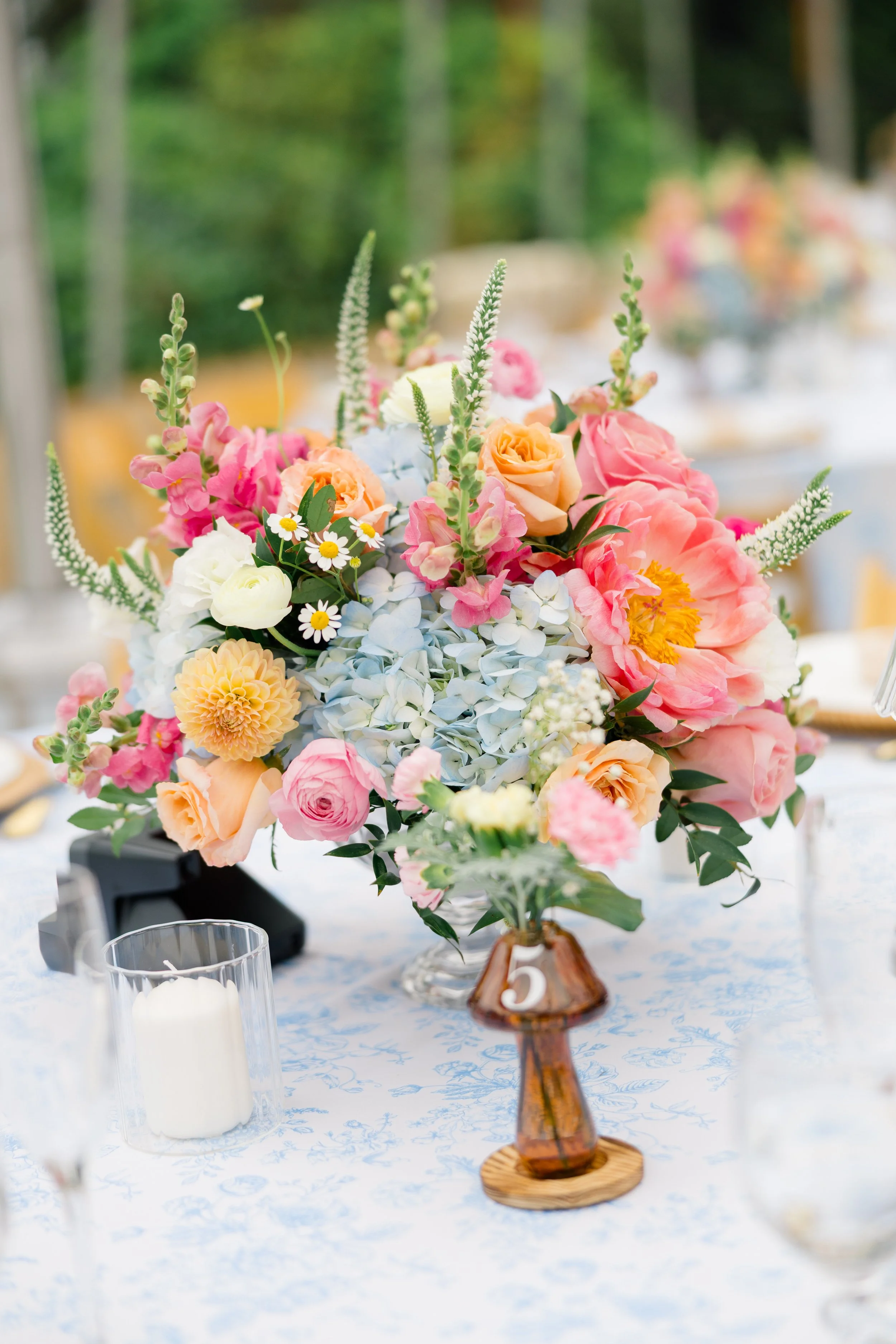 ninarezaretouched-(424 of 778).jpg