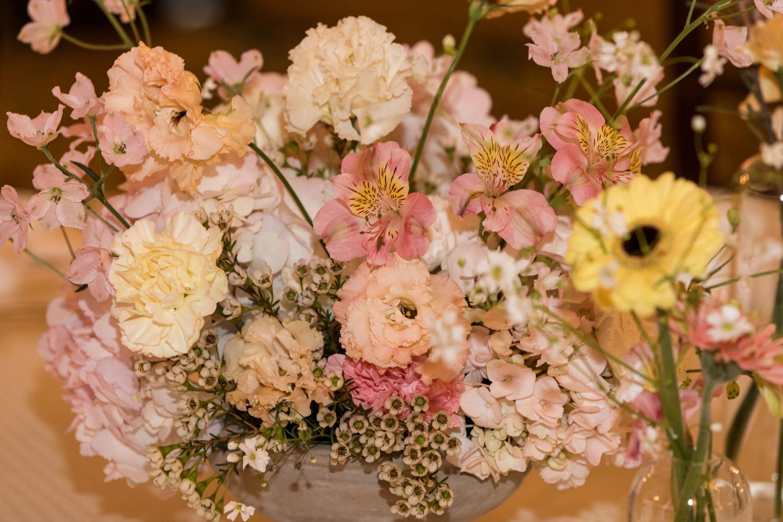 1060-011026IdabyTomKeene©LADigitalPhoto-.jpg
