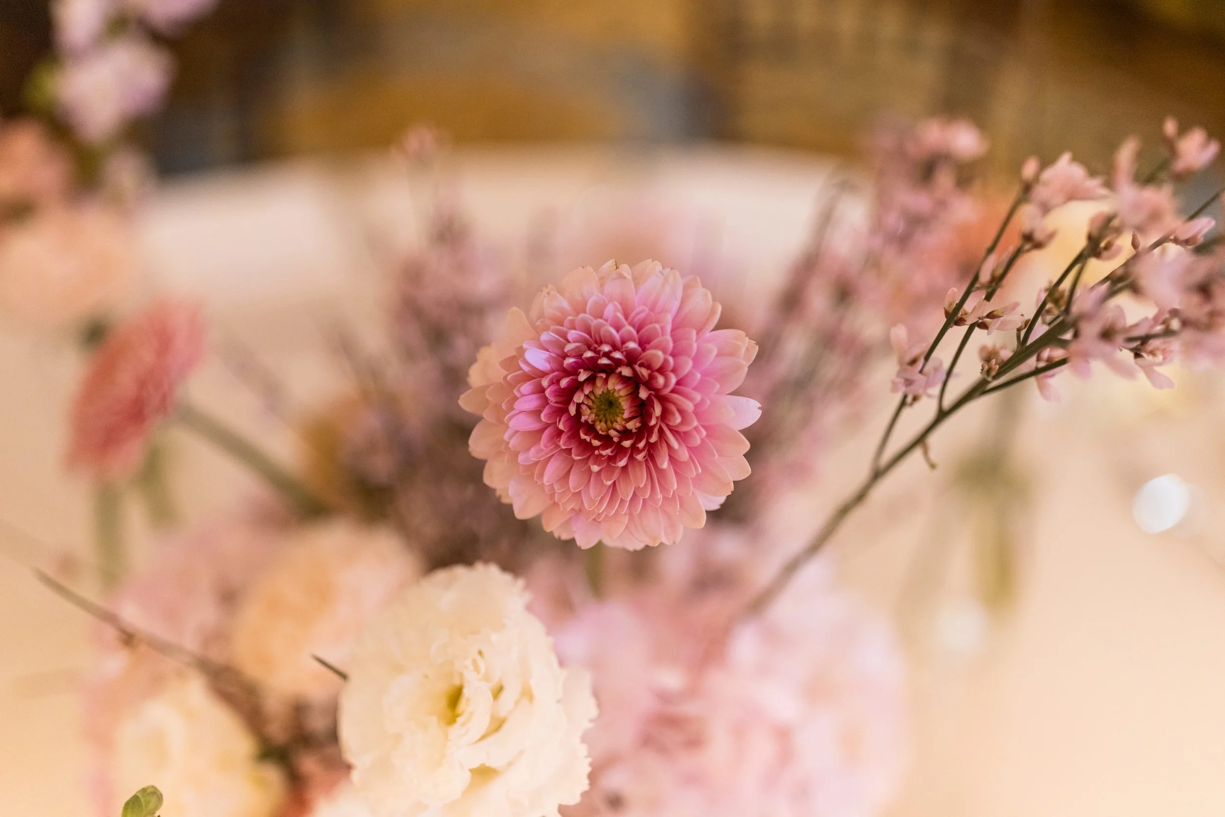 1025-011026IdabyTomKeene©LADigitalPhoto-.jpg