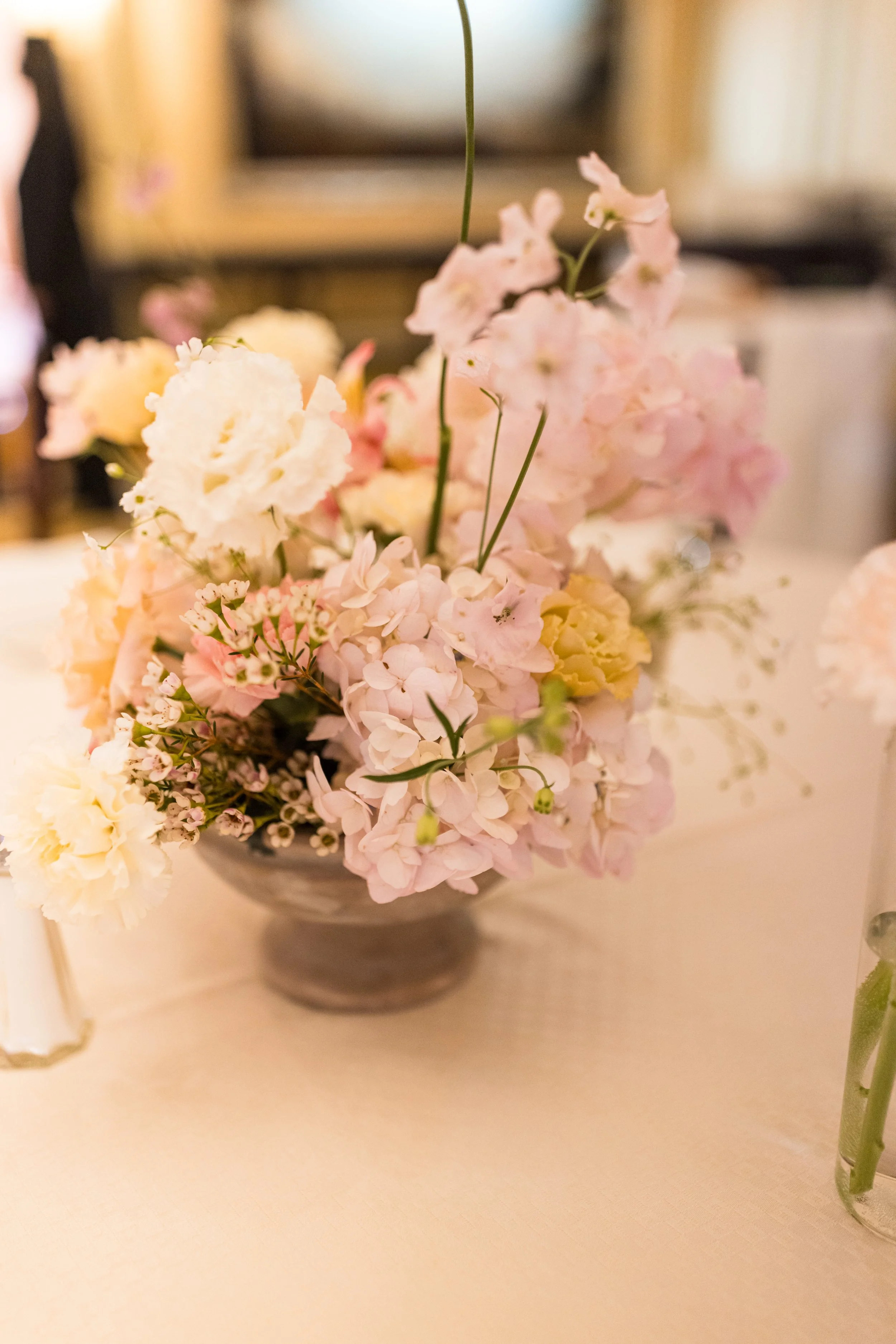 1028-011026IdabyTomKeene©LADigitalPhoto-.jpg