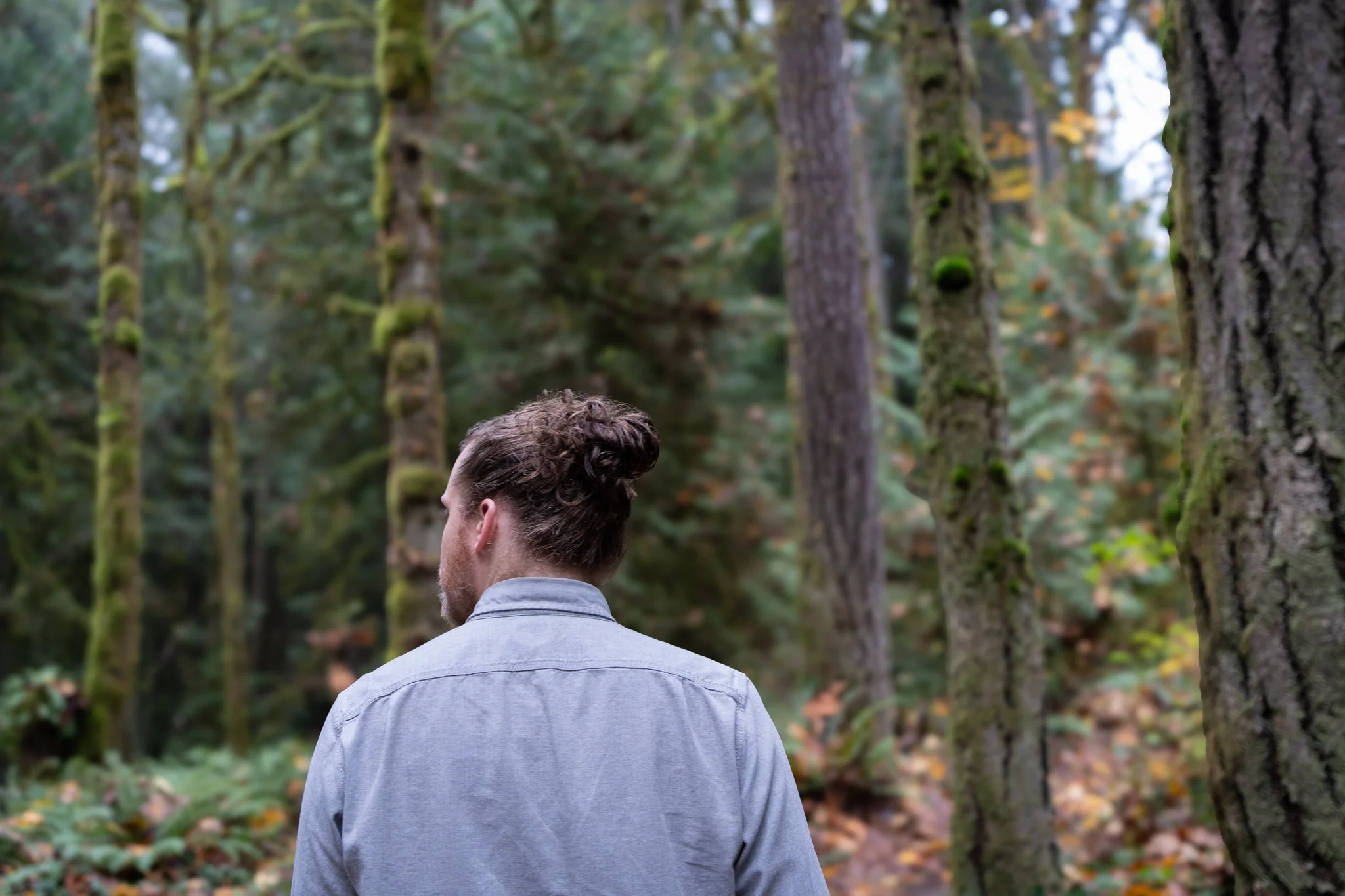 Somatic-Therapy-Bainbridge-Island.jpg