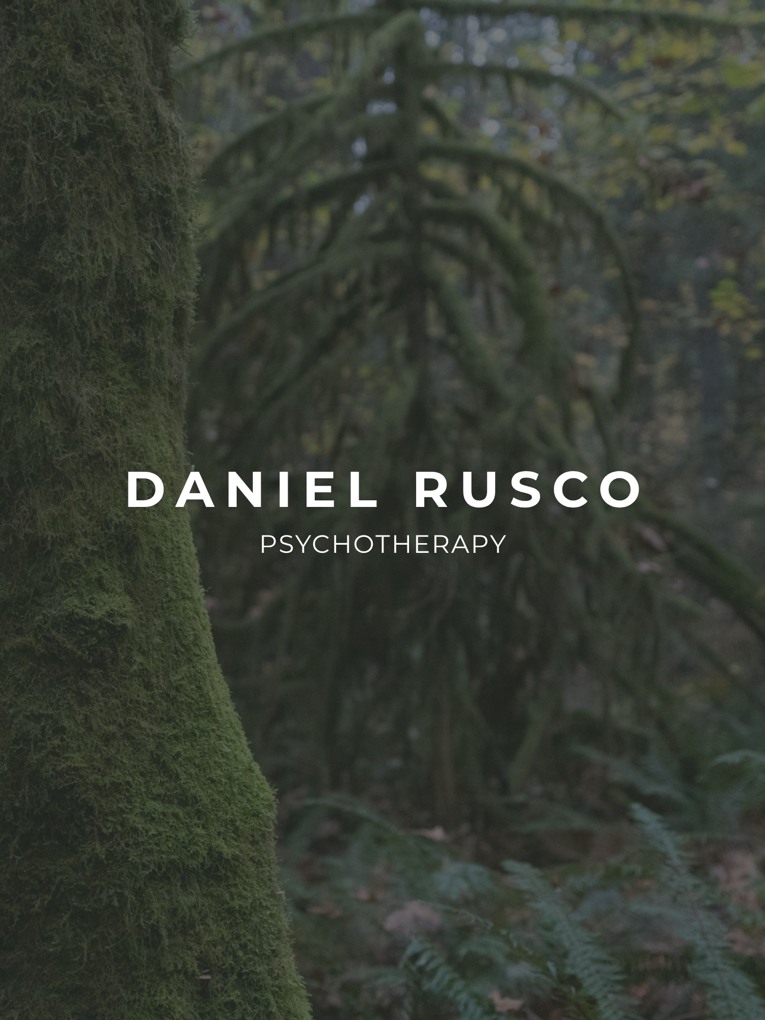 Daniel Rutley Daniel Therapy Portfolio — Fully Booked Practice
