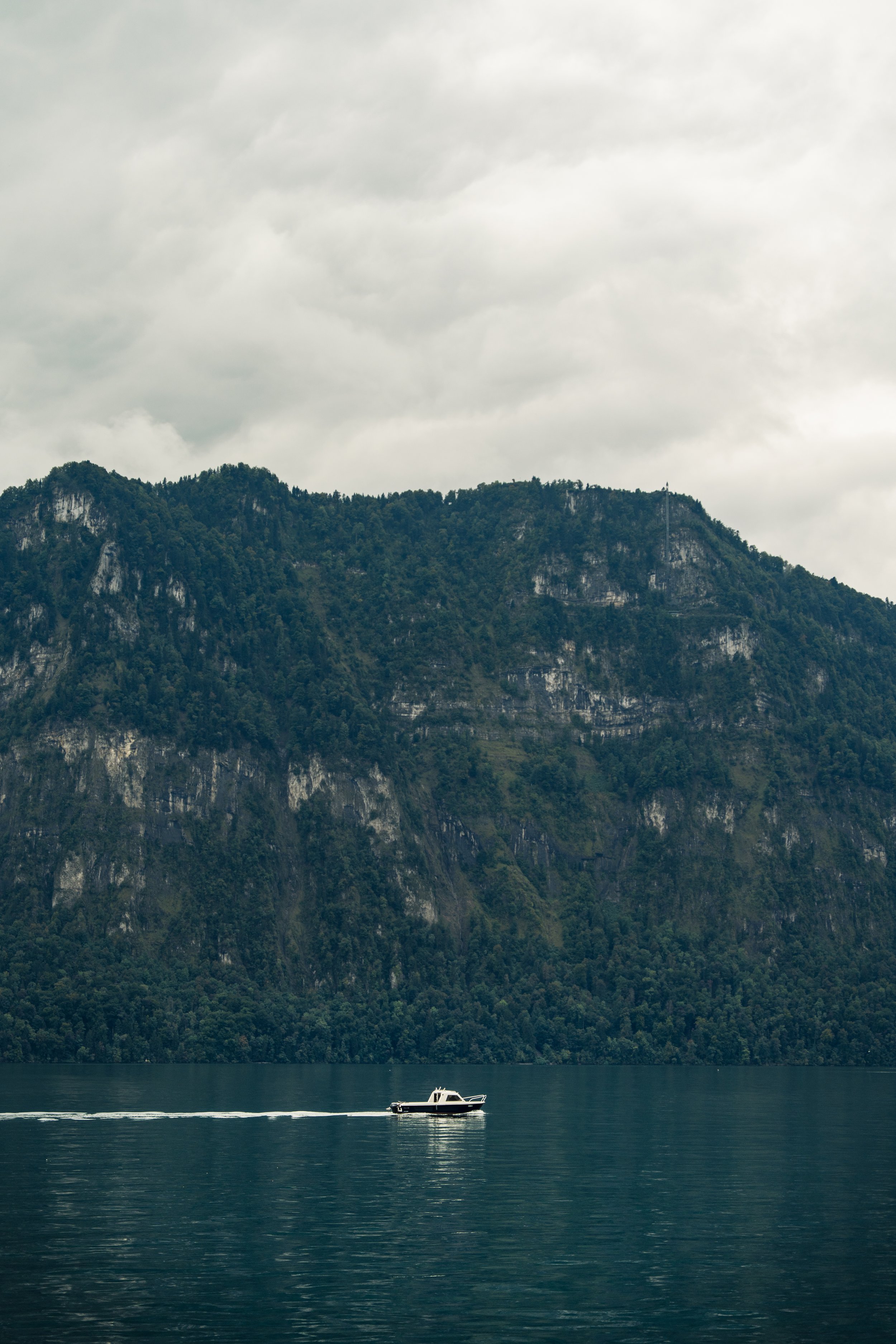 musc_lucerne-rigi_20251106-3.jpg