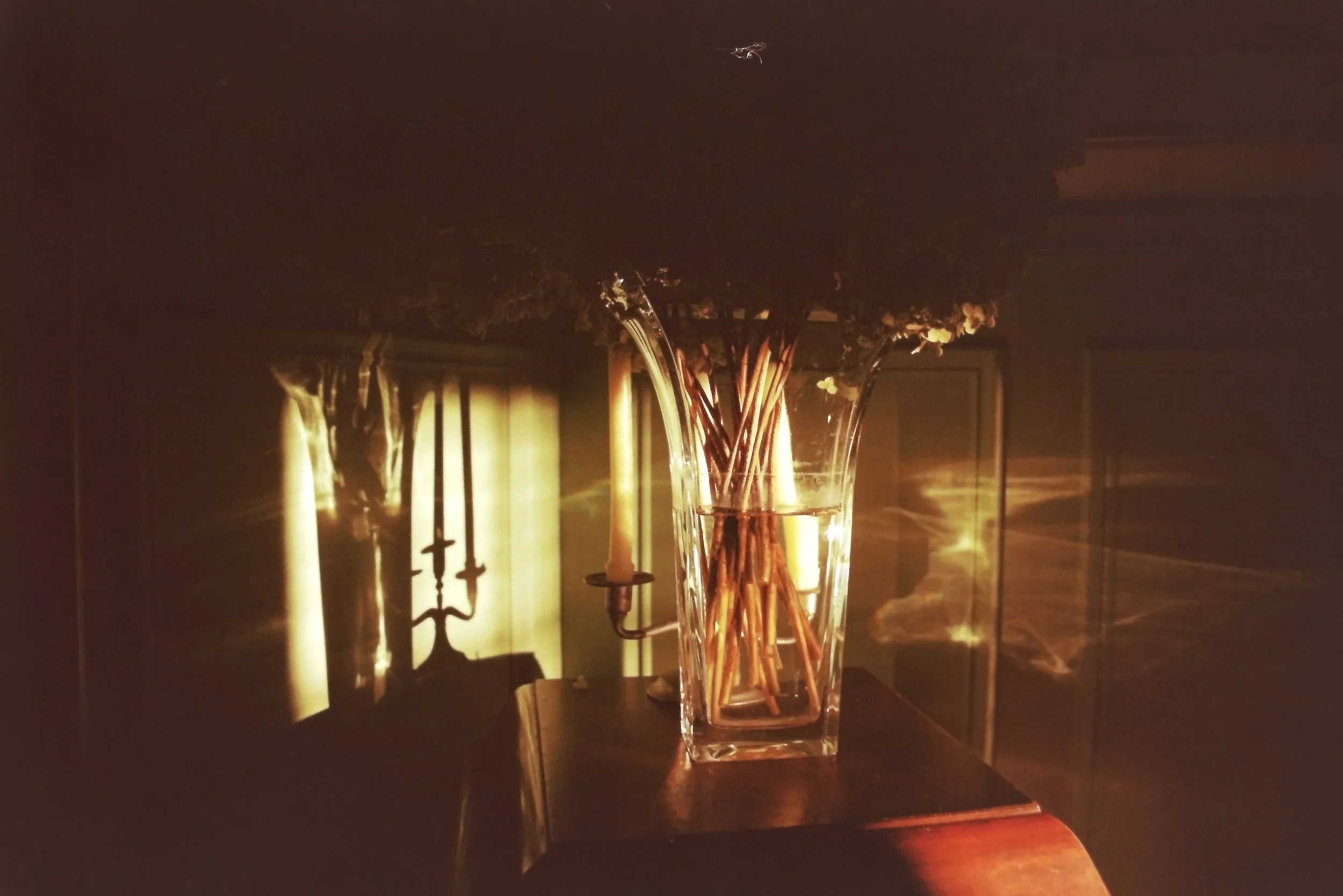 IMAG0220.JPG