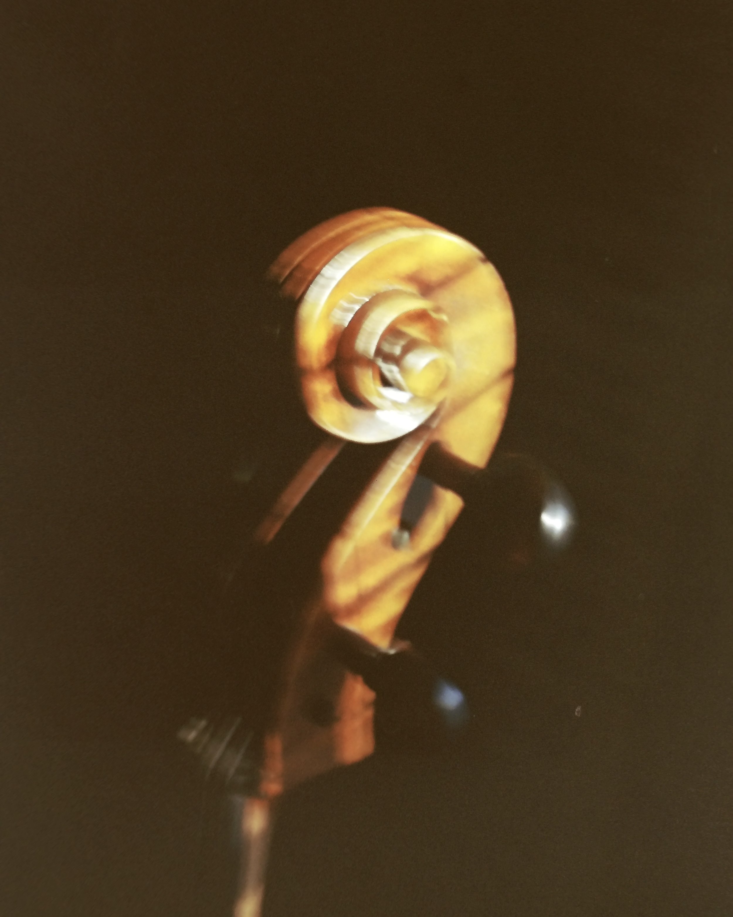 IMAG0131.JPG
