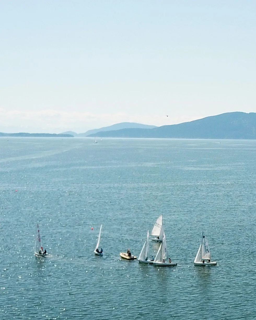 Bellingham Bay, WA - College Sailing Race - Southwest - DJI Mavic Pro Aerial Drone Photo