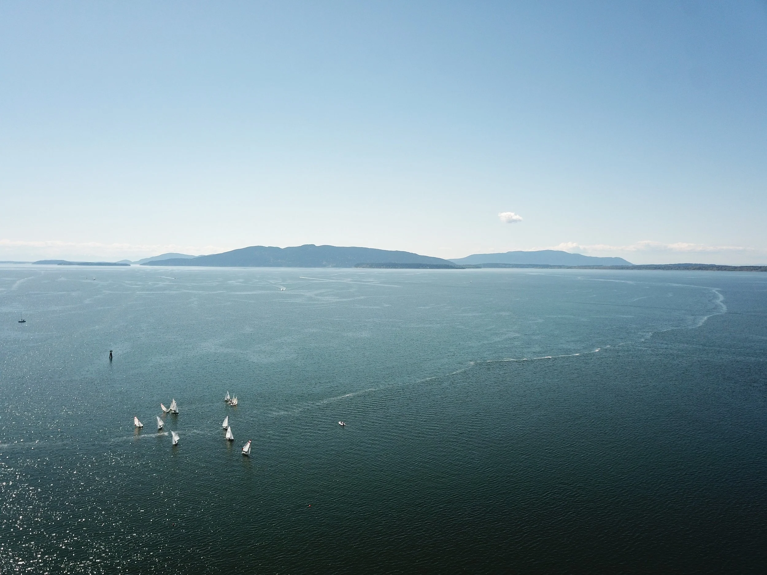 Bellingham Bay, WA - College Sailing Race - South Southwest - DJI Mavic Pro Aerial Drone Photo