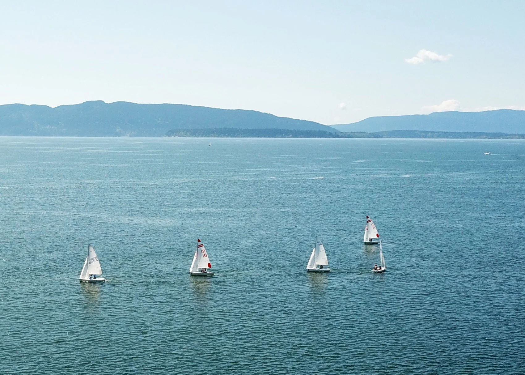Bellingham Bay, WA - College Sailing Race - West - DJI Mavic Pro Aerial Drone Photo