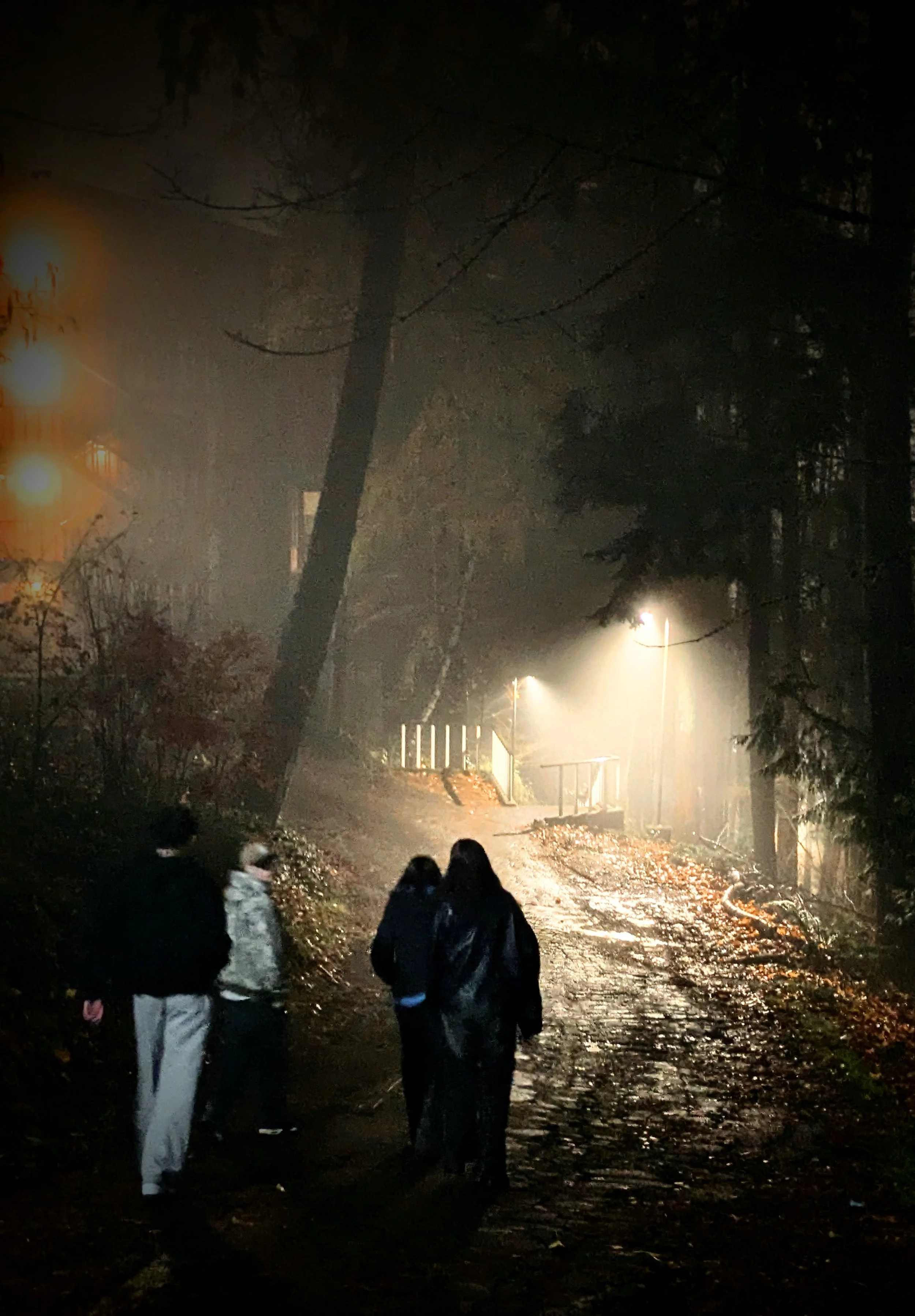 Bellingham, WA - Friends Walking in Fog at Night - Cell Phone 
